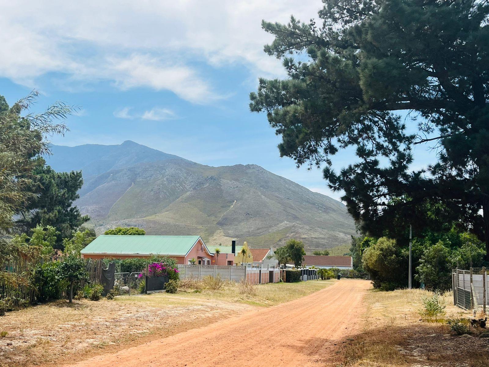 Image 15