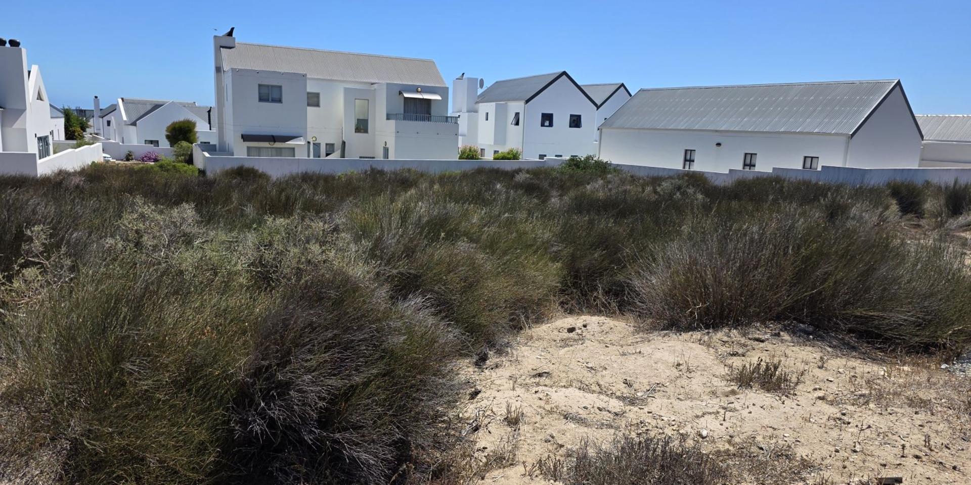 Image 5 of 6