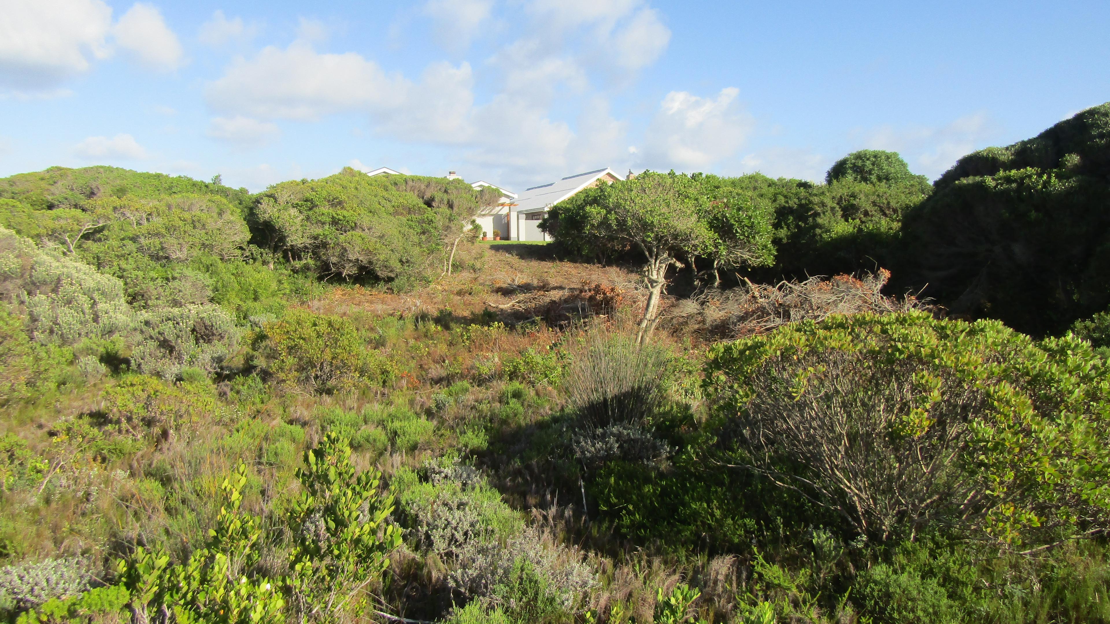 Image 4 of 6
