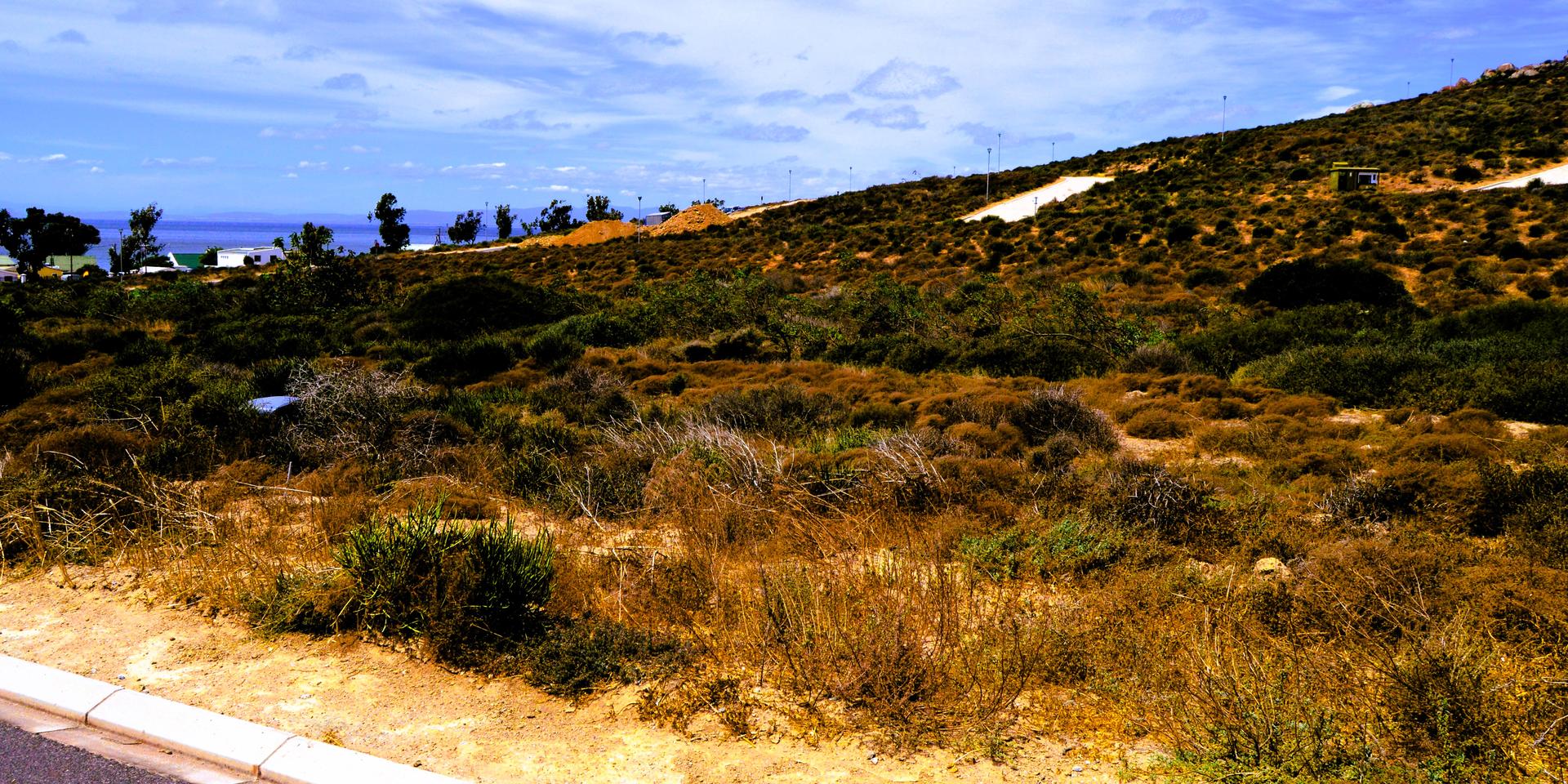 Image 2 of 6