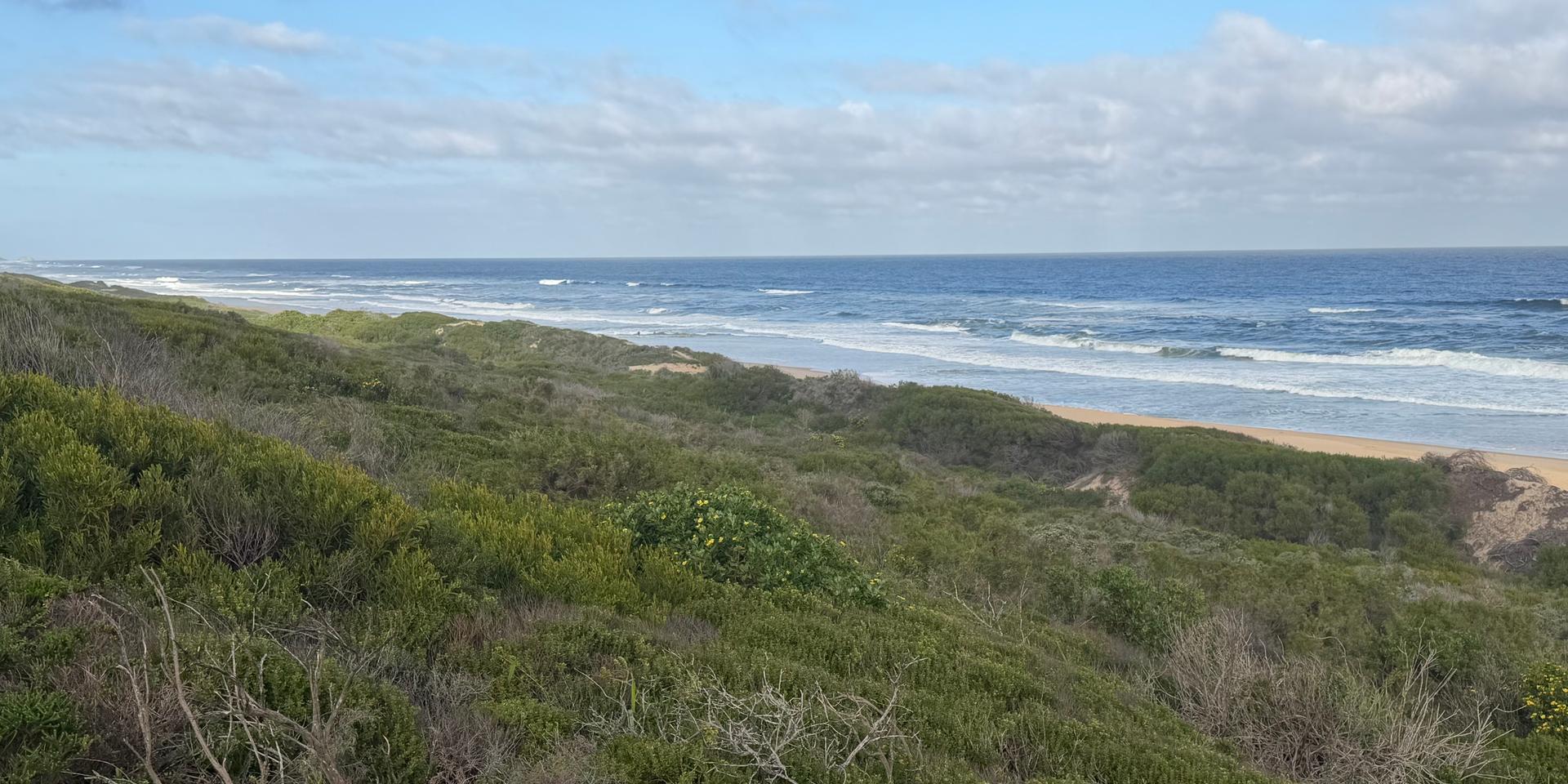 Image 3 of 6