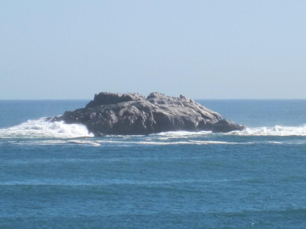 Image 19