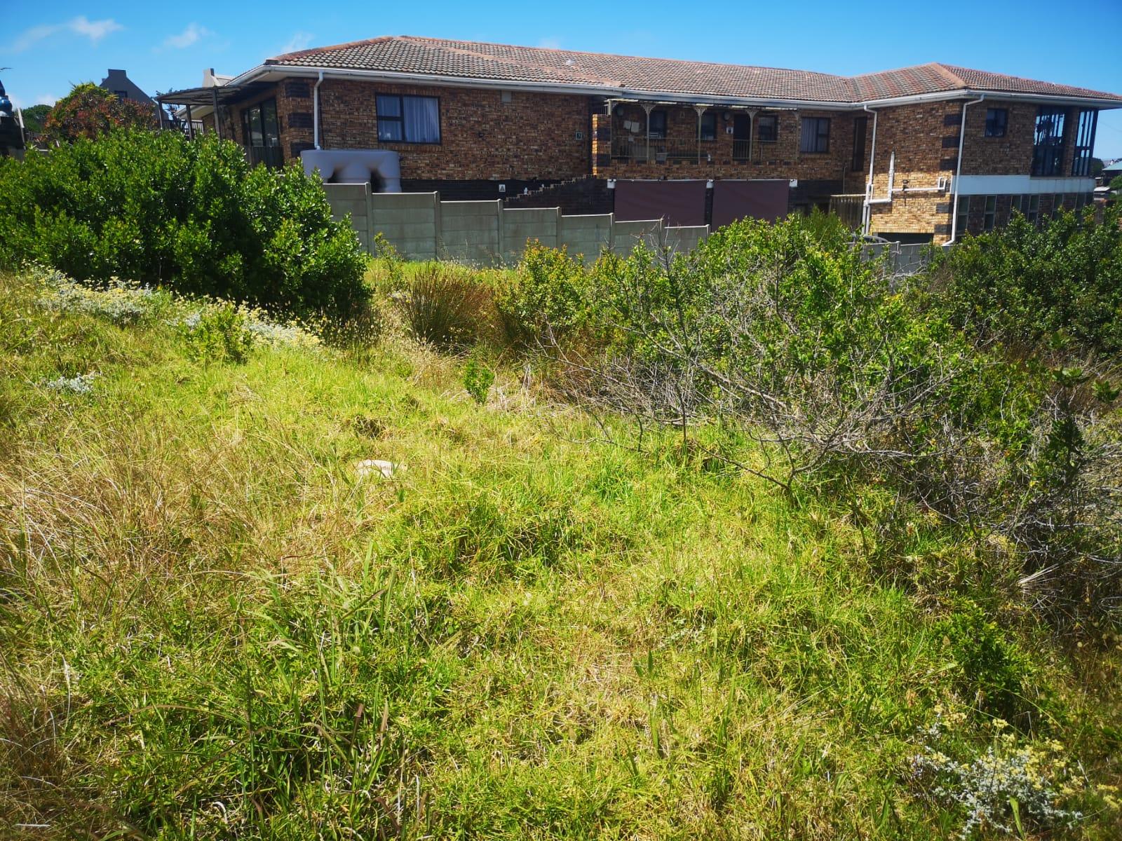 Image 4 of 6