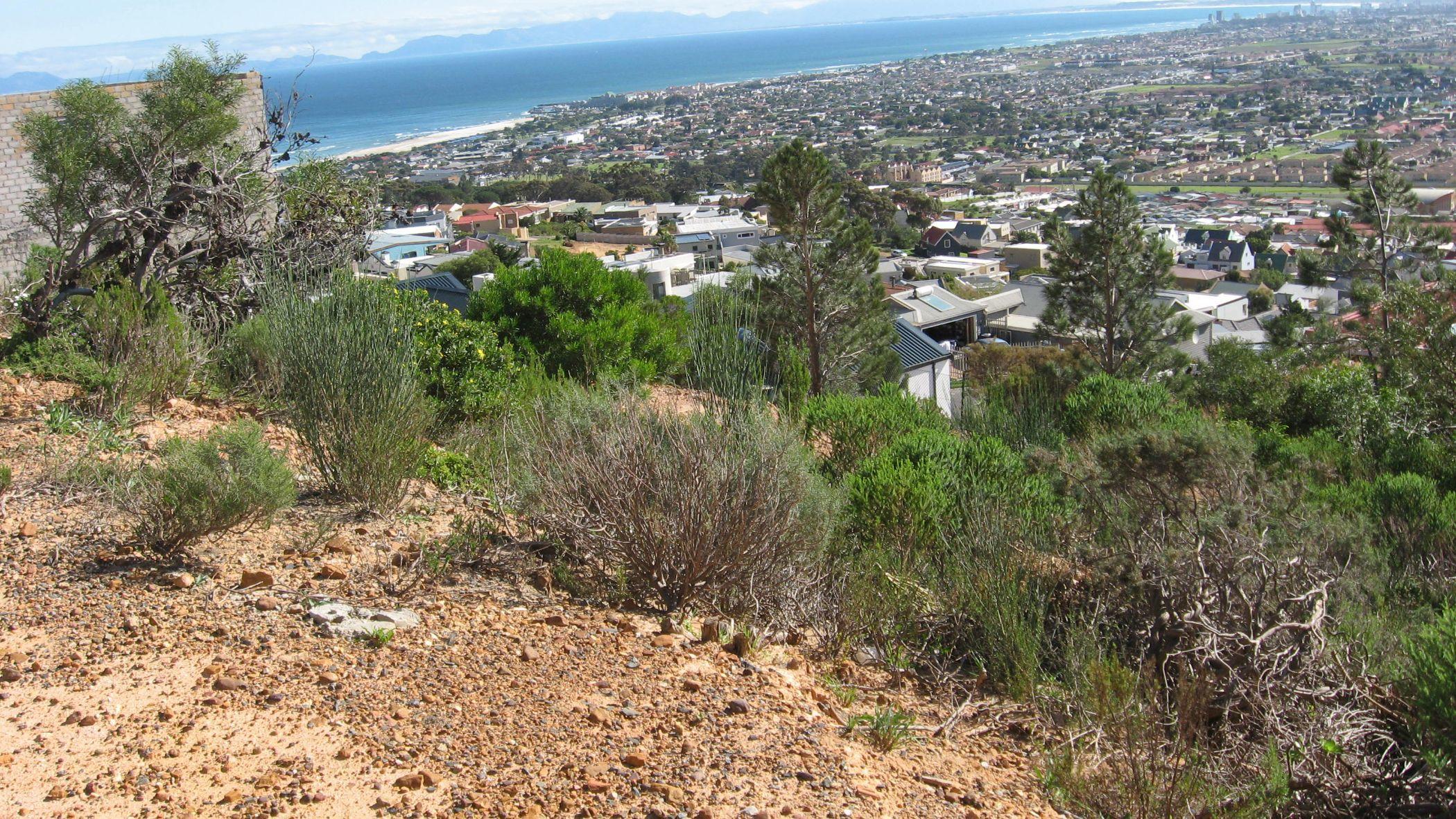 Image 3 of 6