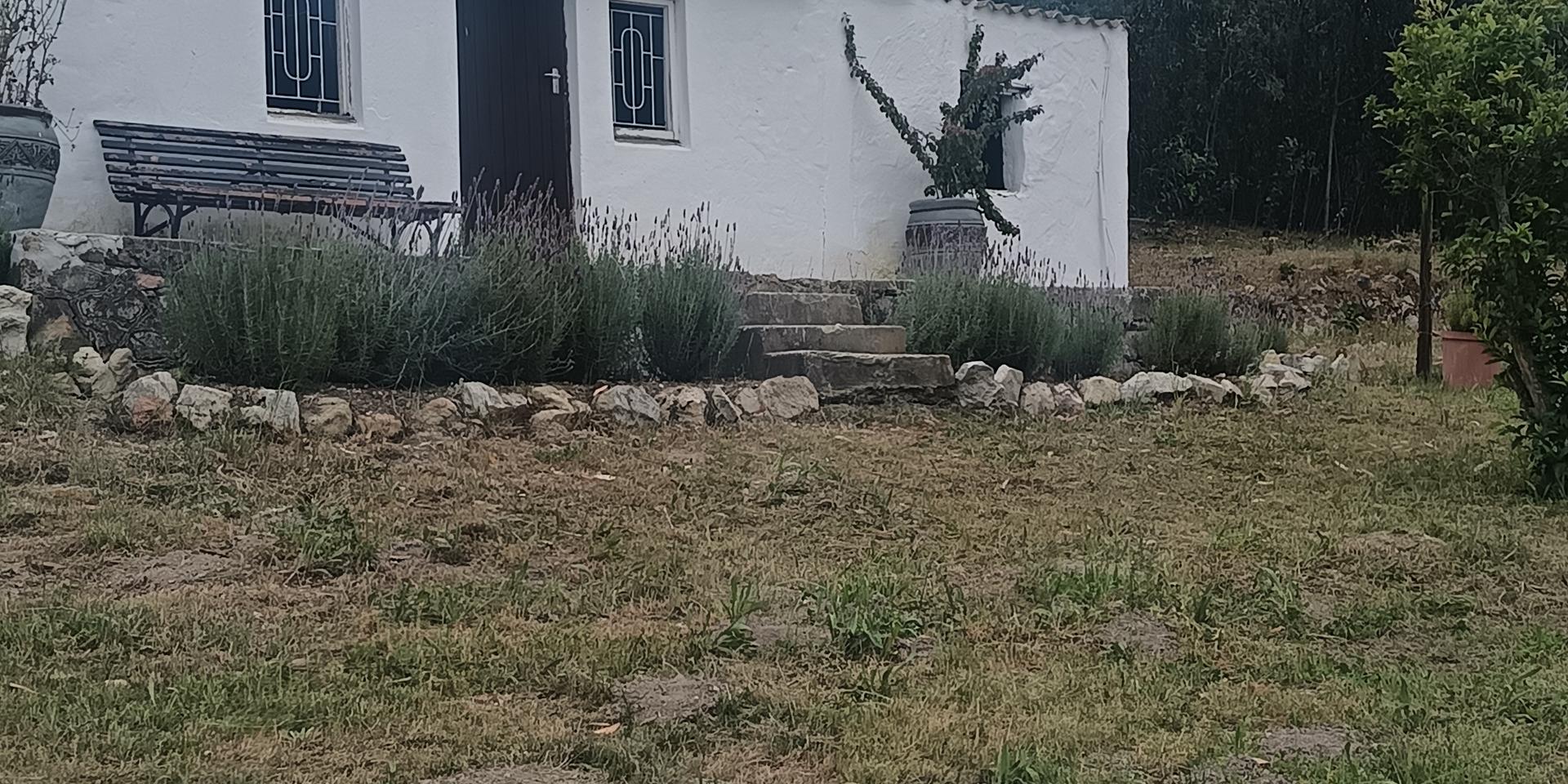 Image 3 of 6
