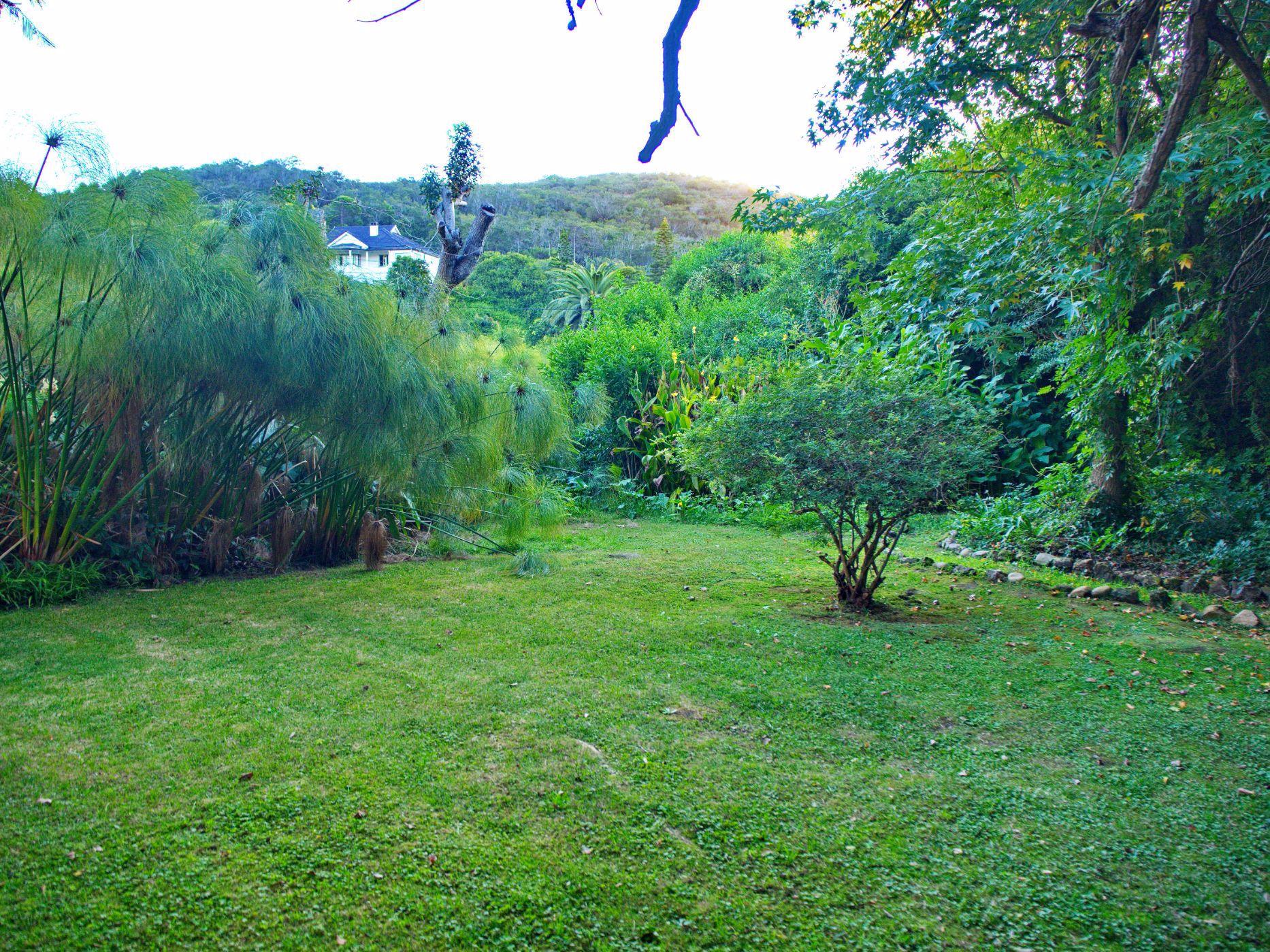 Image 77