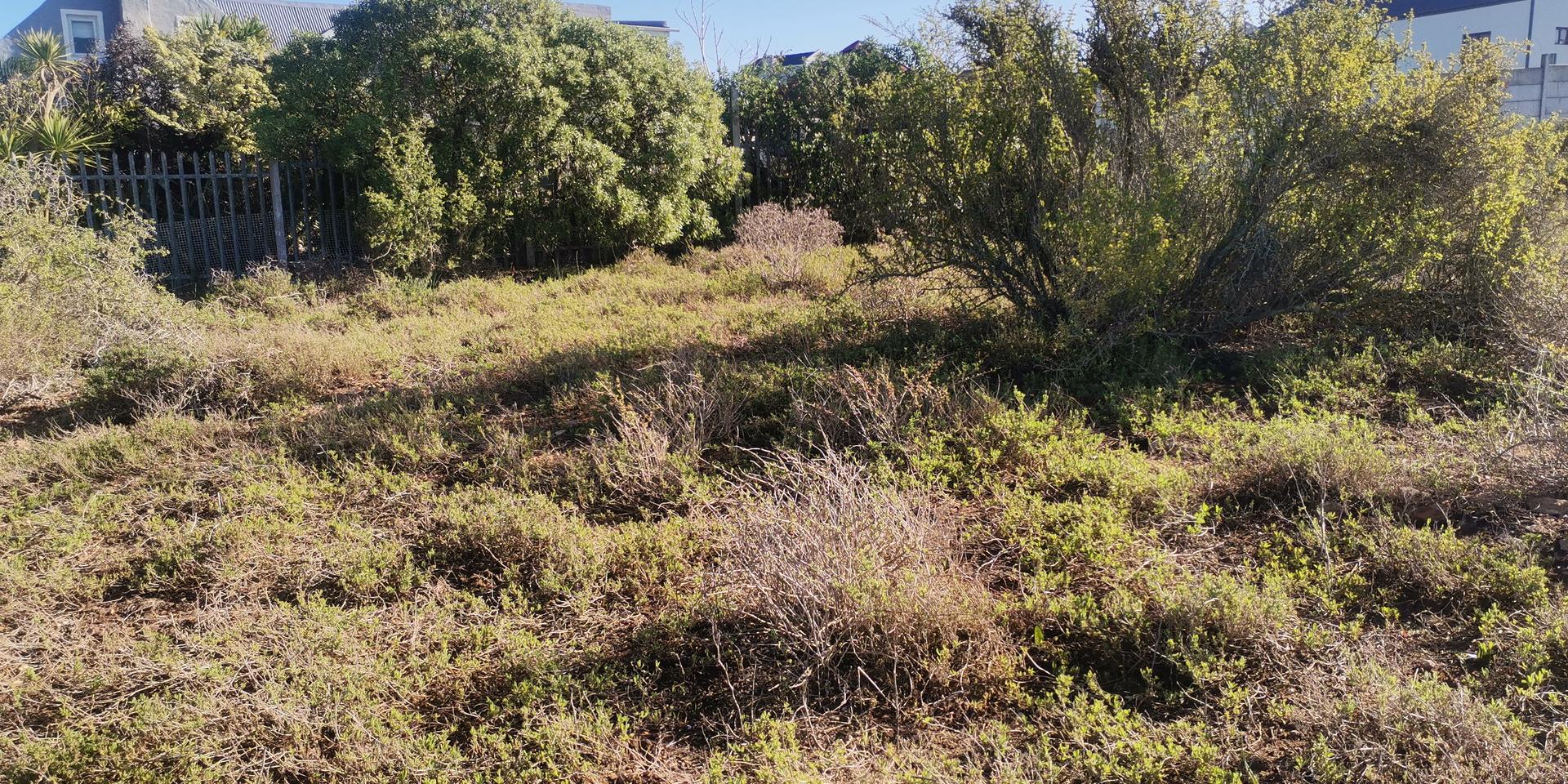 Image 5 of 6
