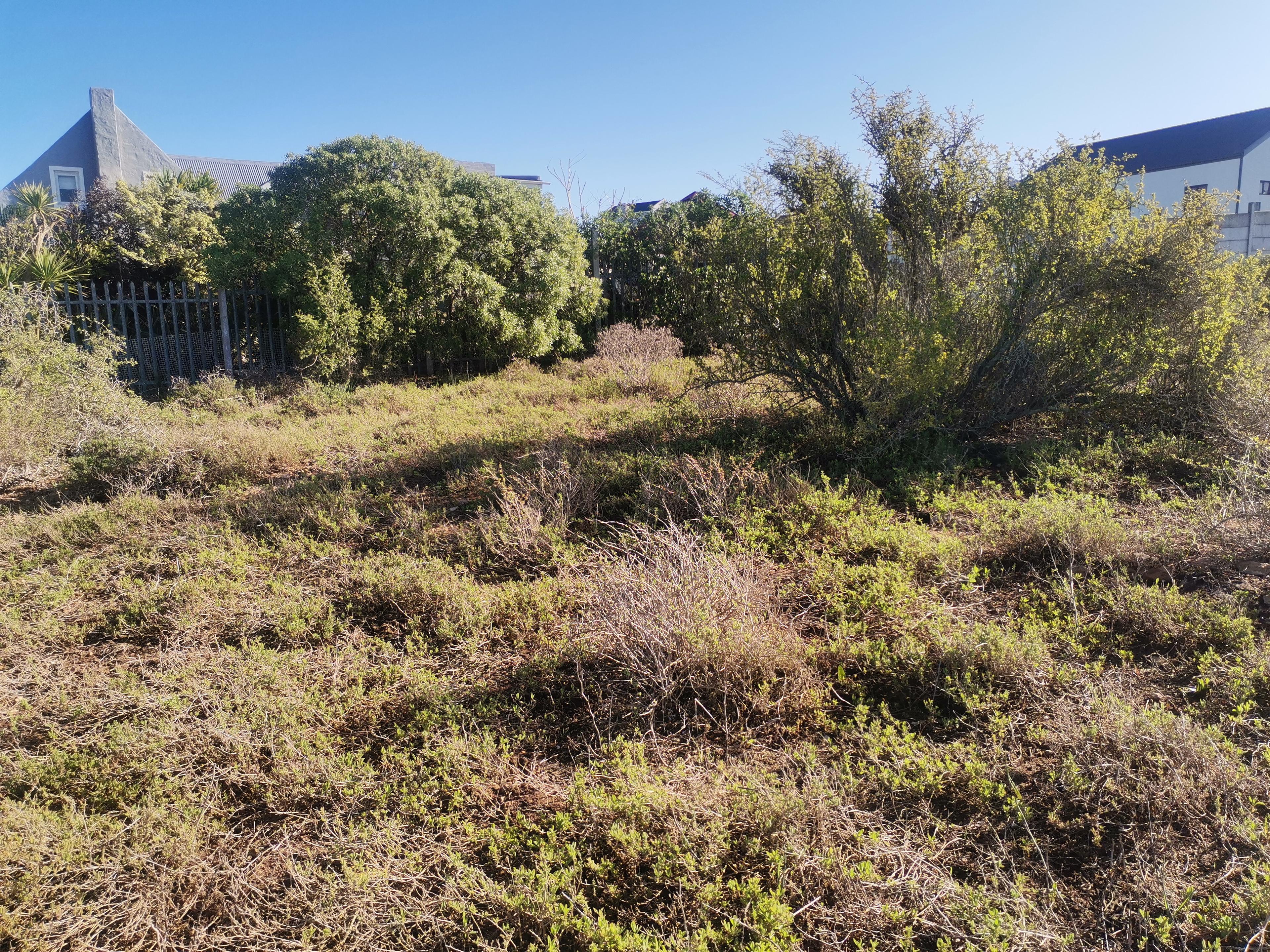 Image 5 of 6