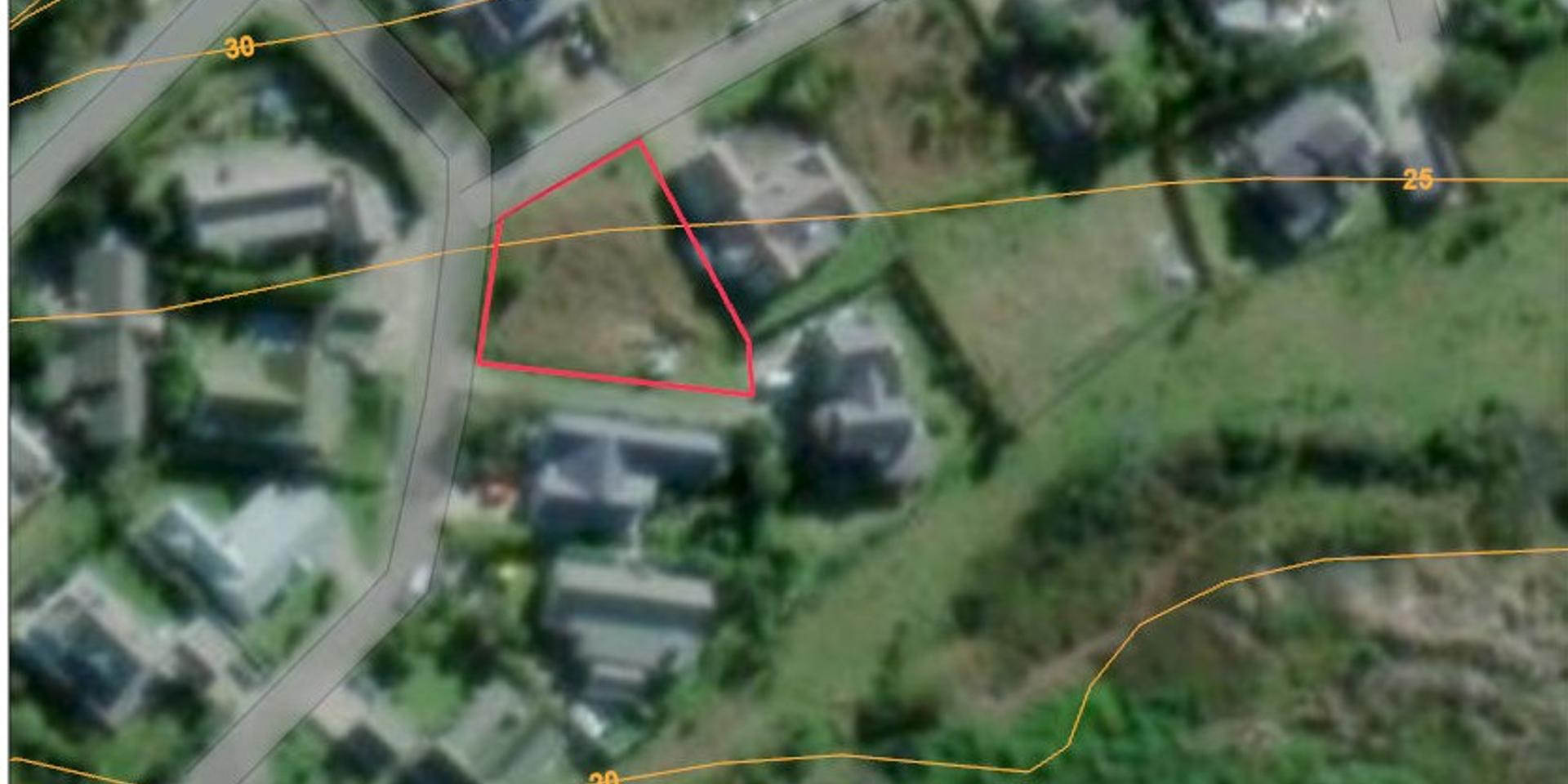 Image 5 of 6