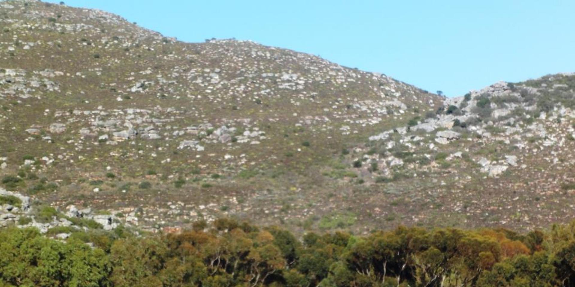 Image 2 of 6