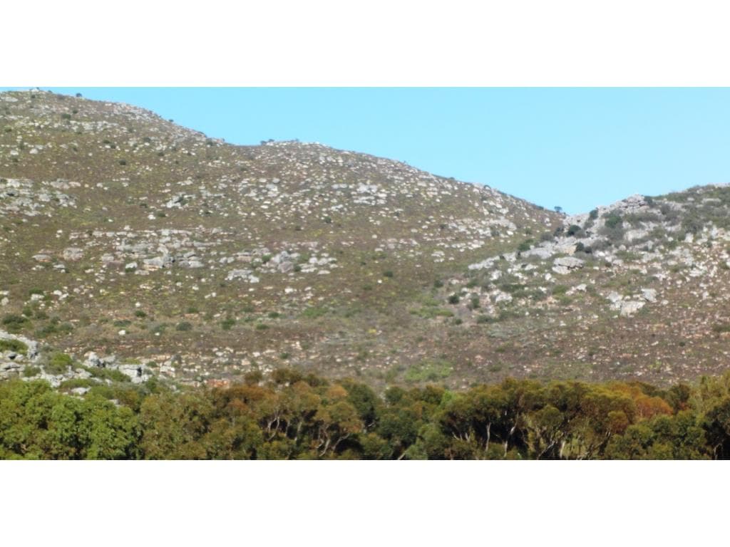 Image 2 of 6