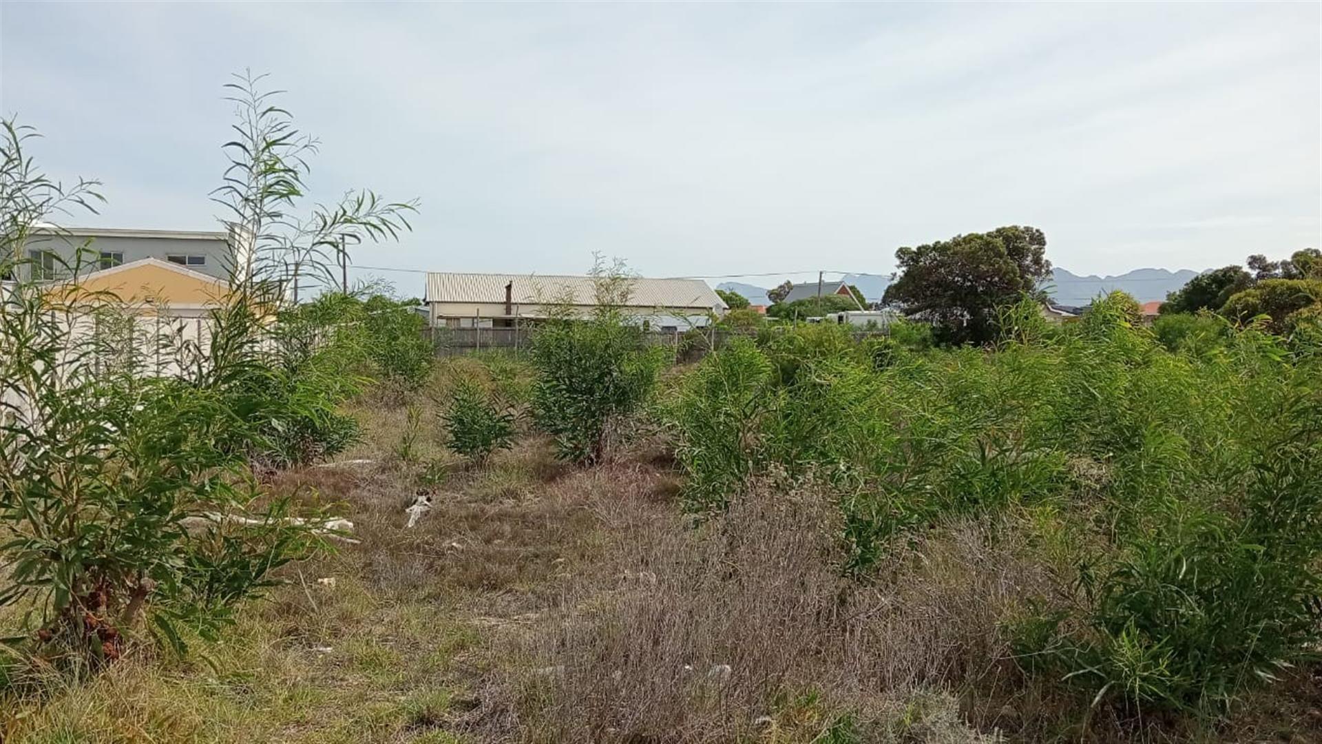 Image 8