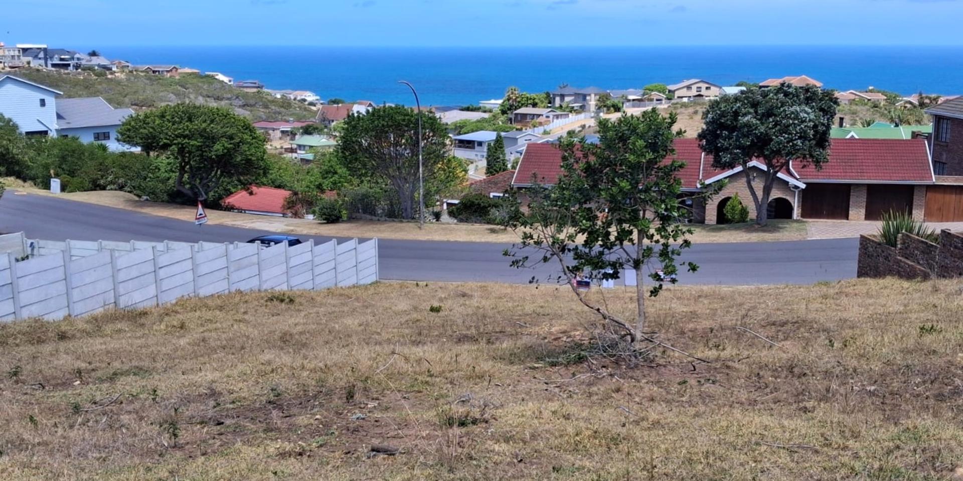Image 3 of 6