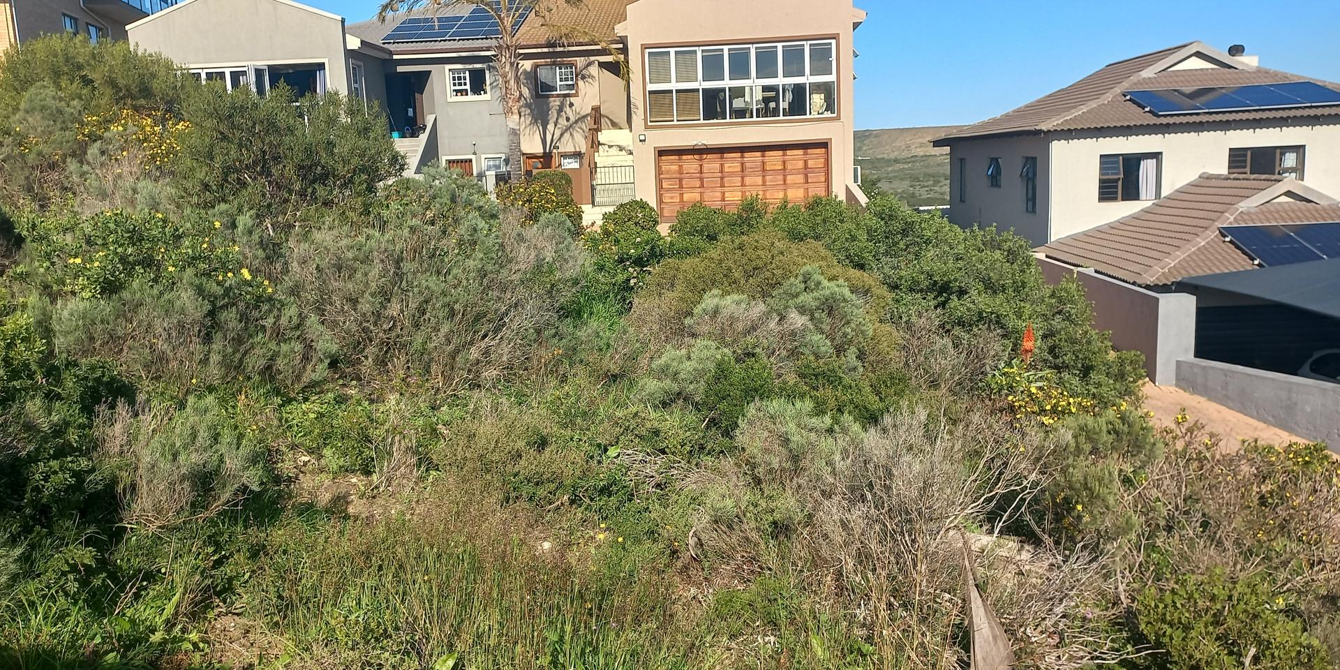 Image 4 of 6