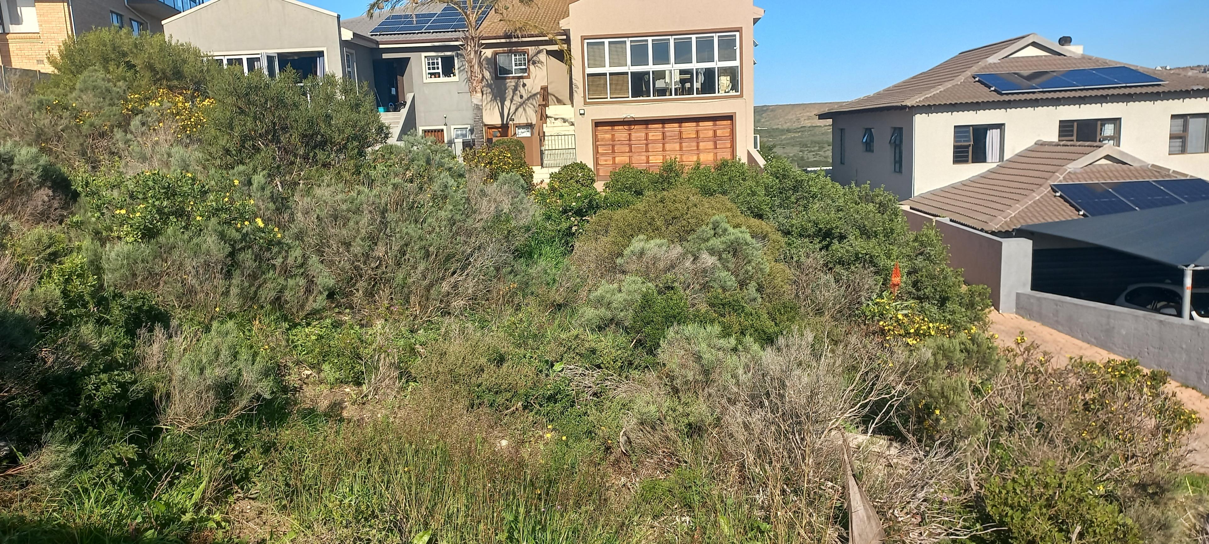 Image 4 of 6