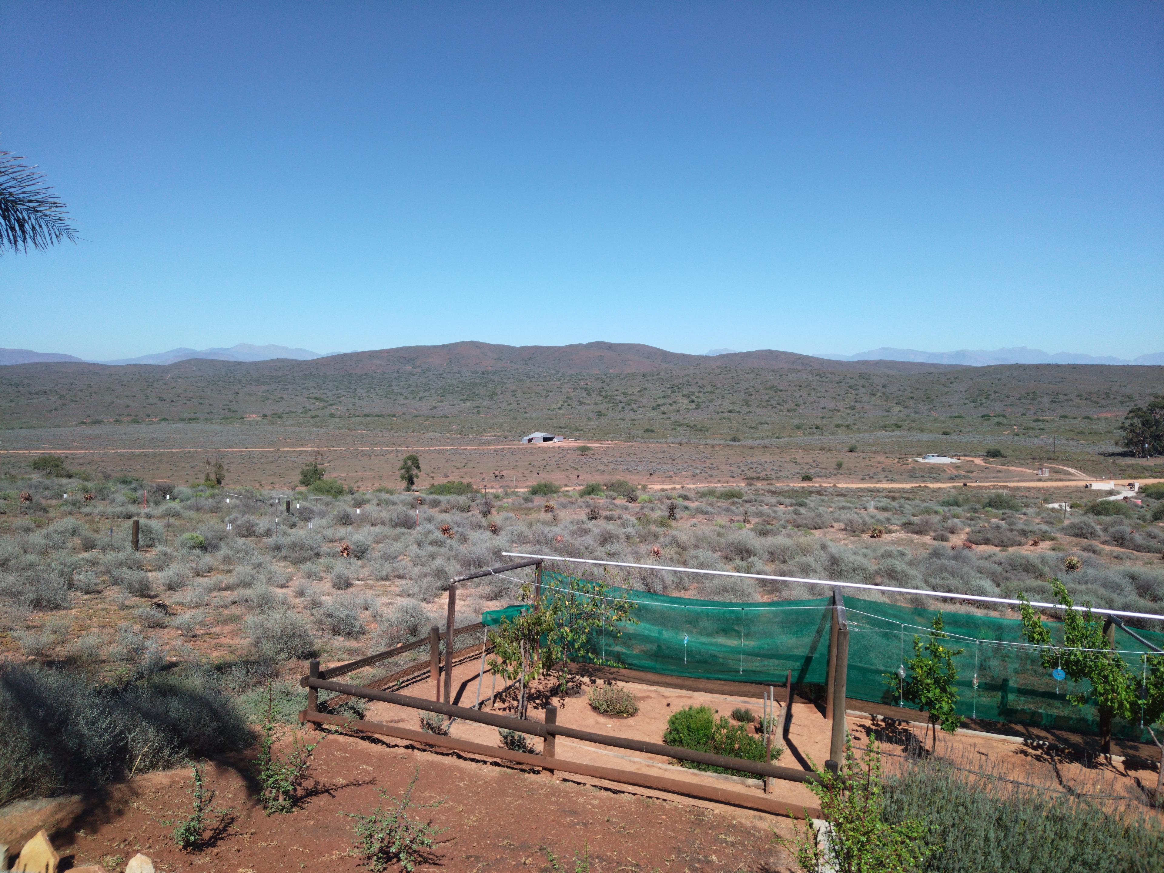 Image 5 of 6