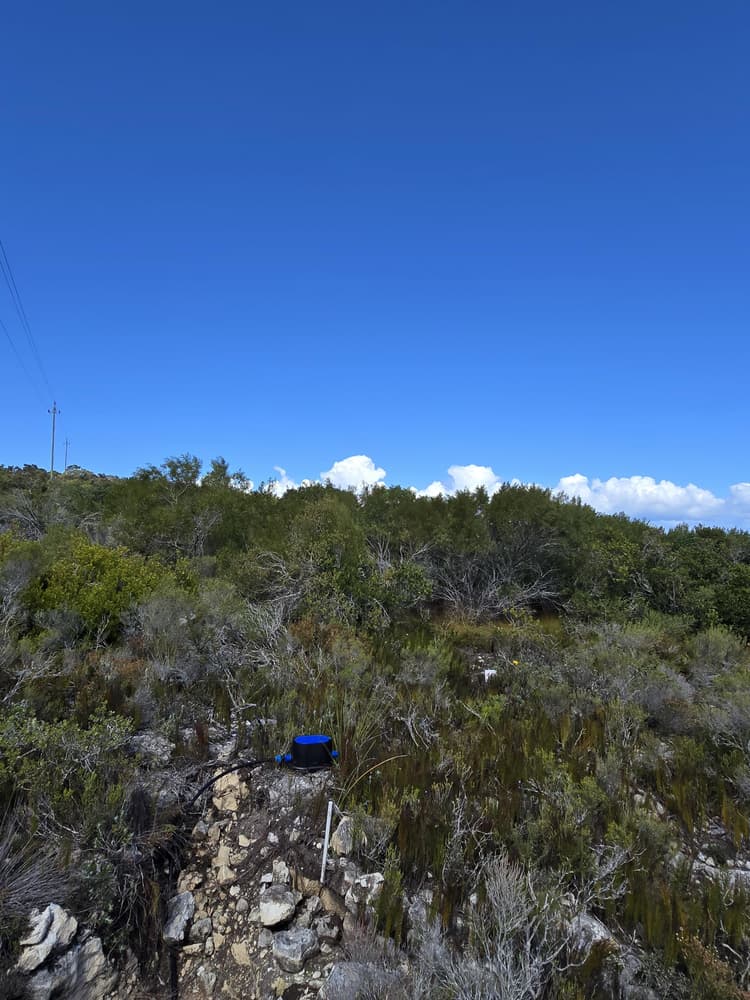Main property image
