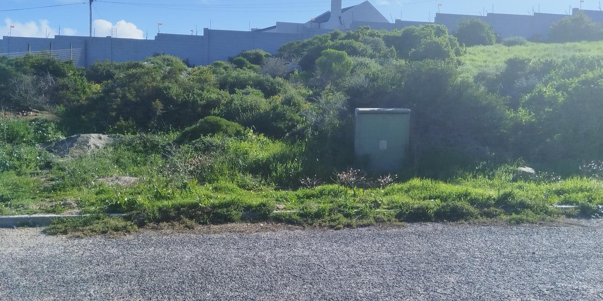 Image 2 of 6