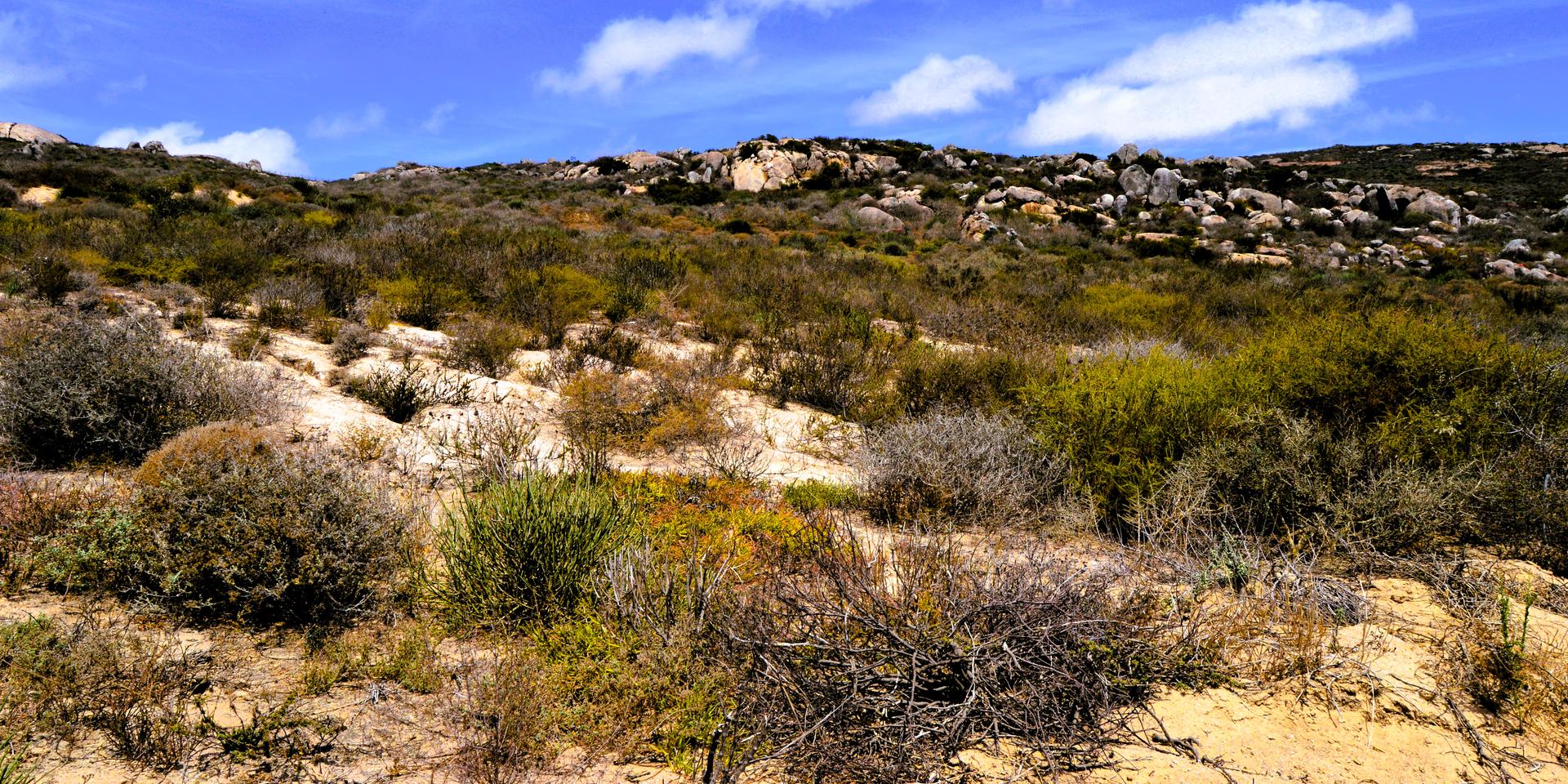 Image 4 of 6