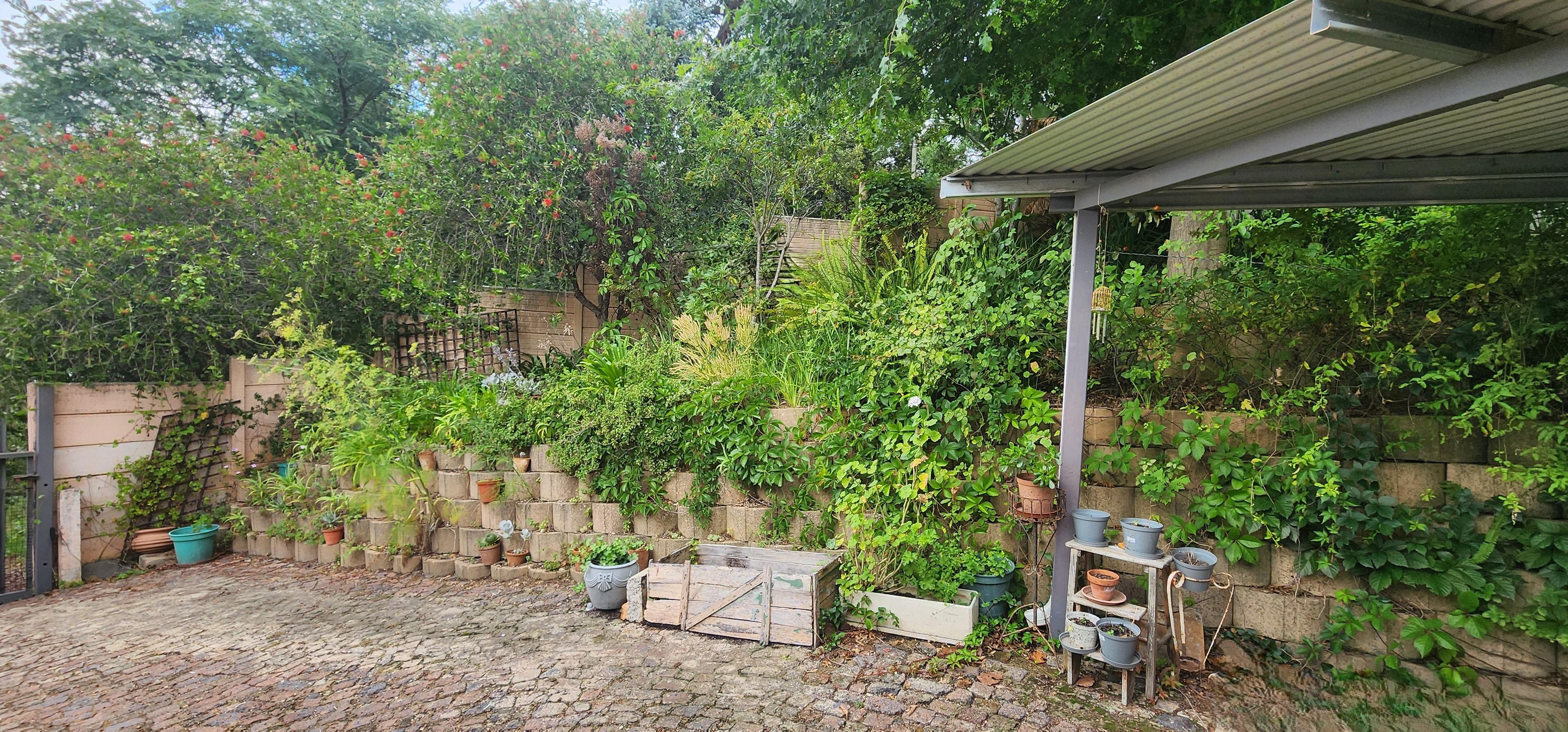Image 27