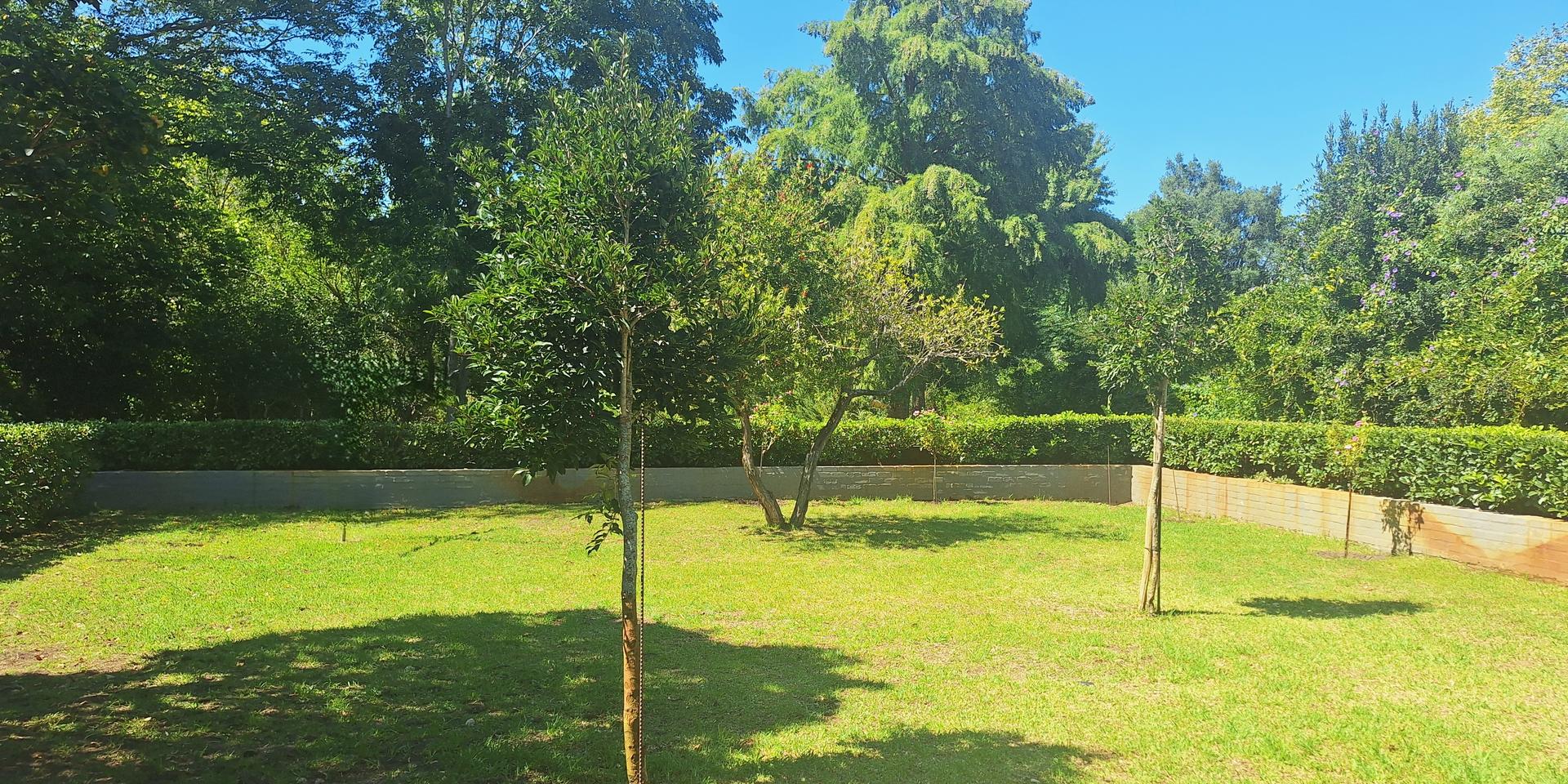Image 3 of 6
