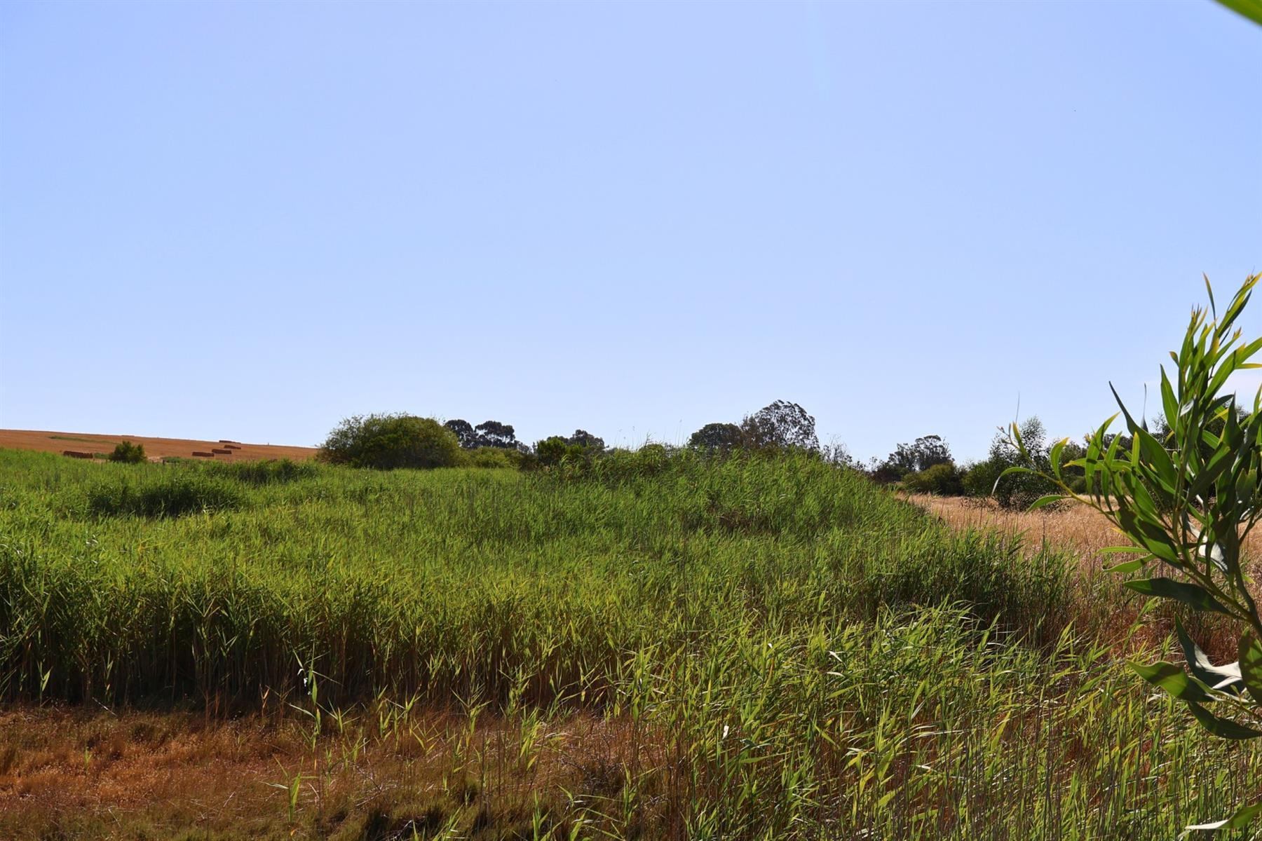 Image 33