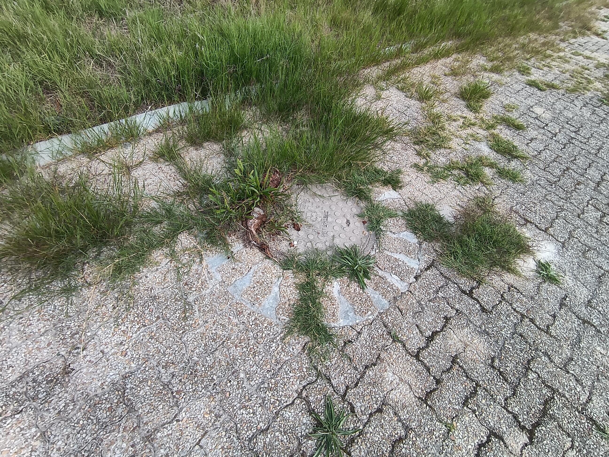 Image 9