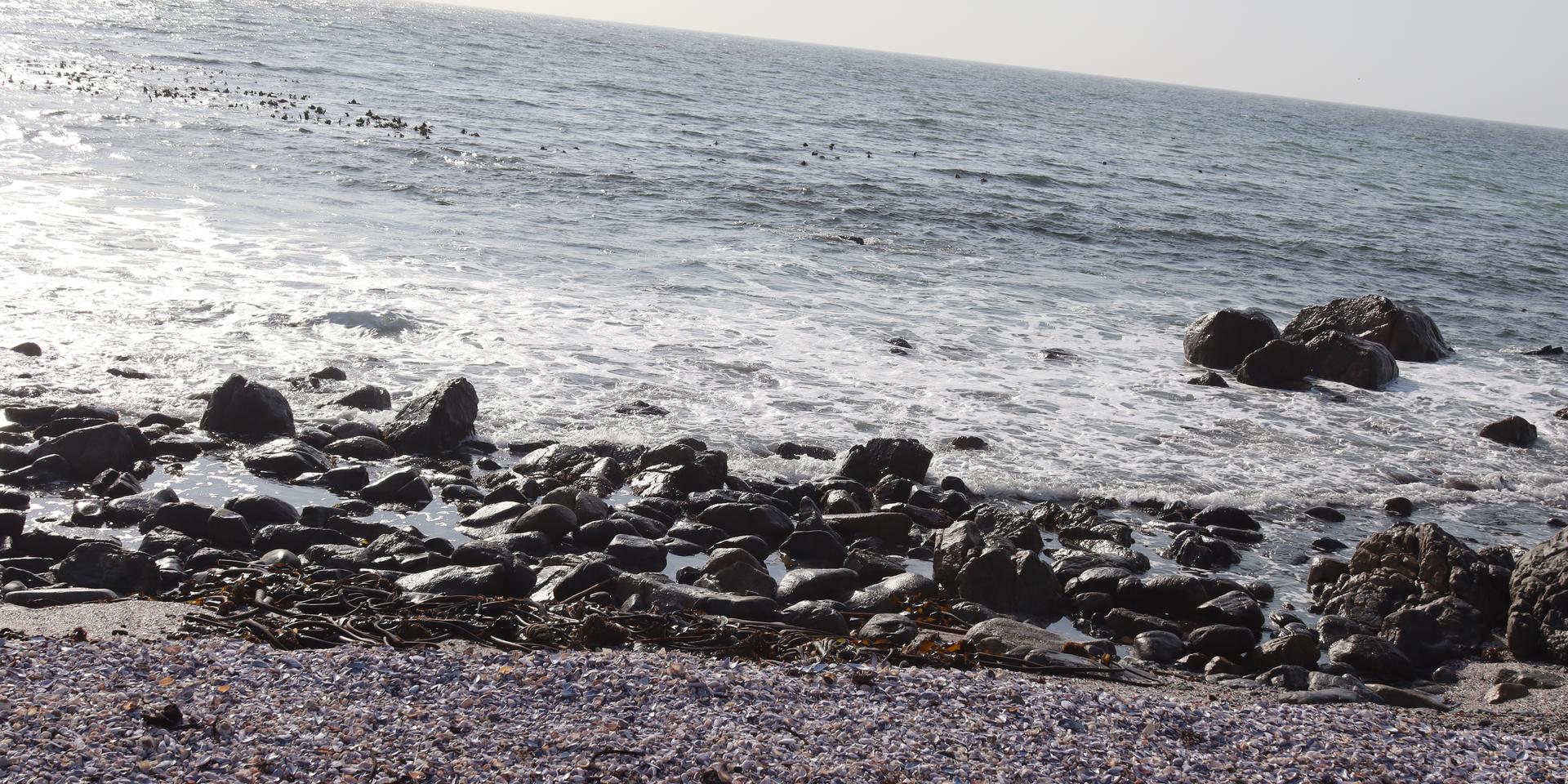Image 4 of 6