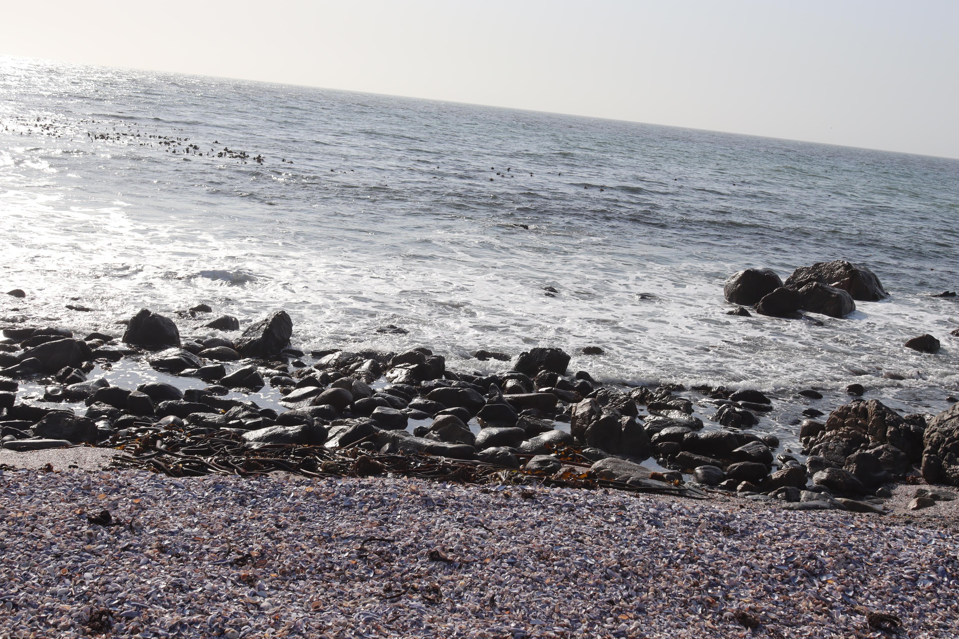 Image 4 of 6