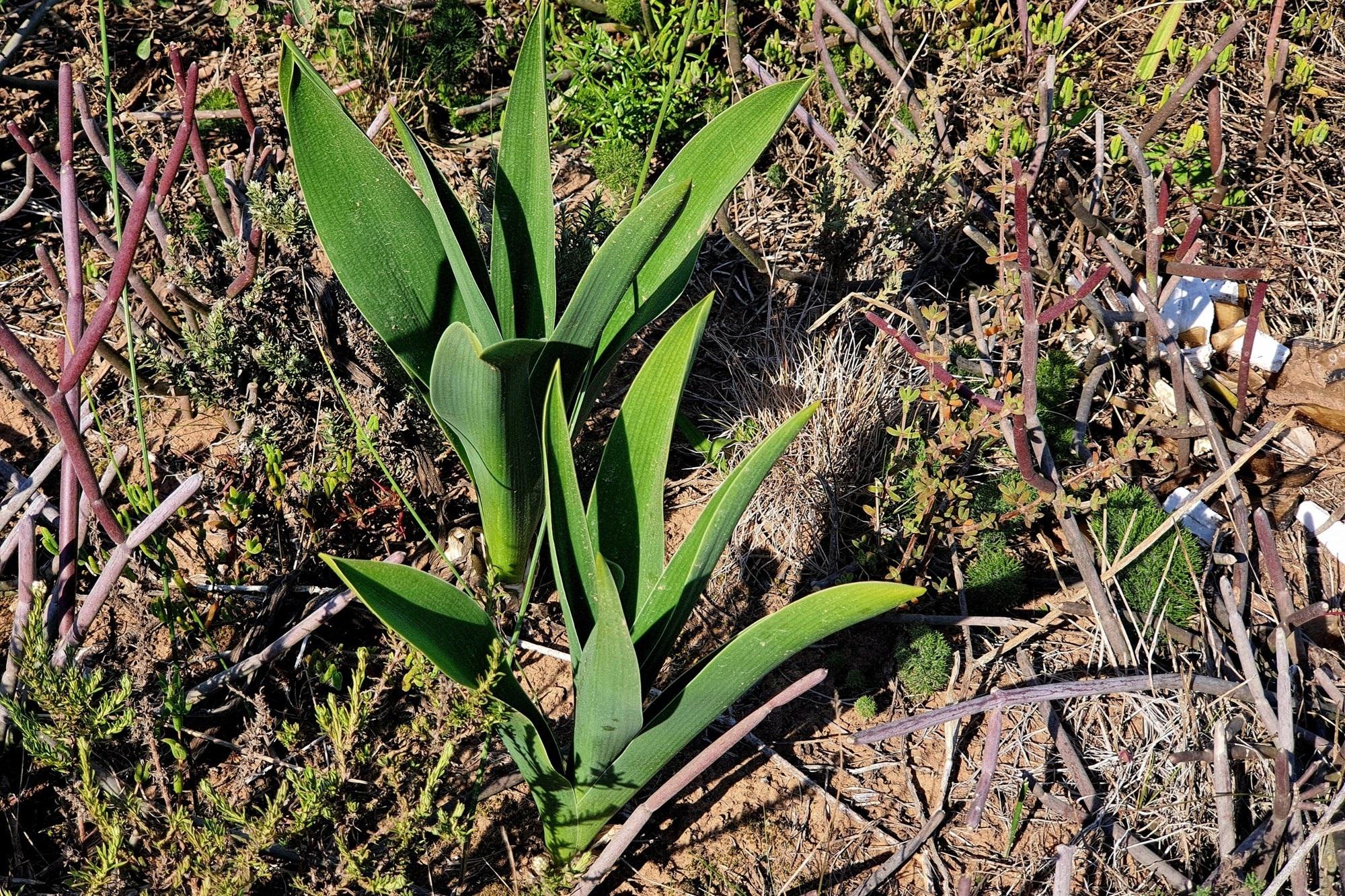Image 12