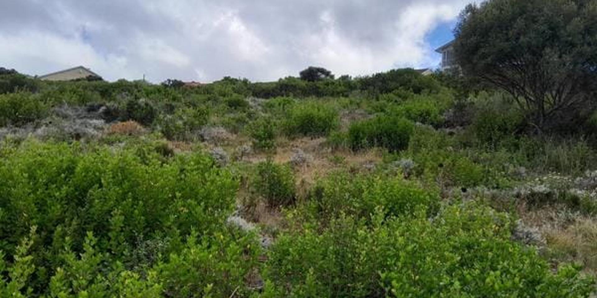 Image 2 of 6