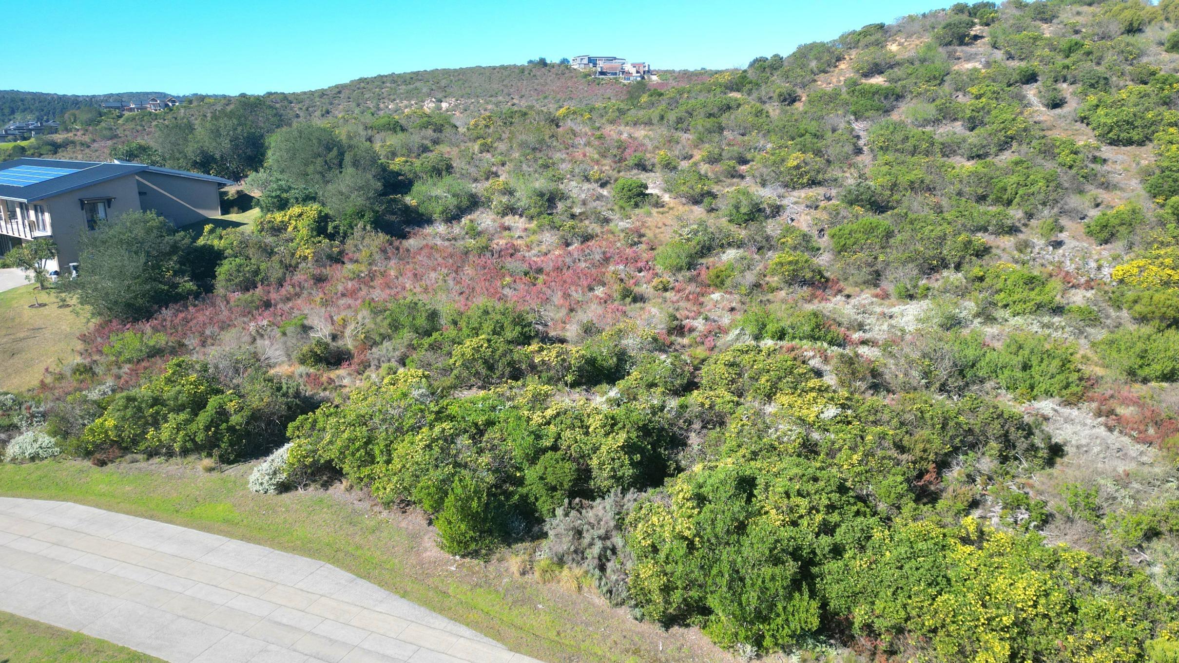 Image 2 of 6
