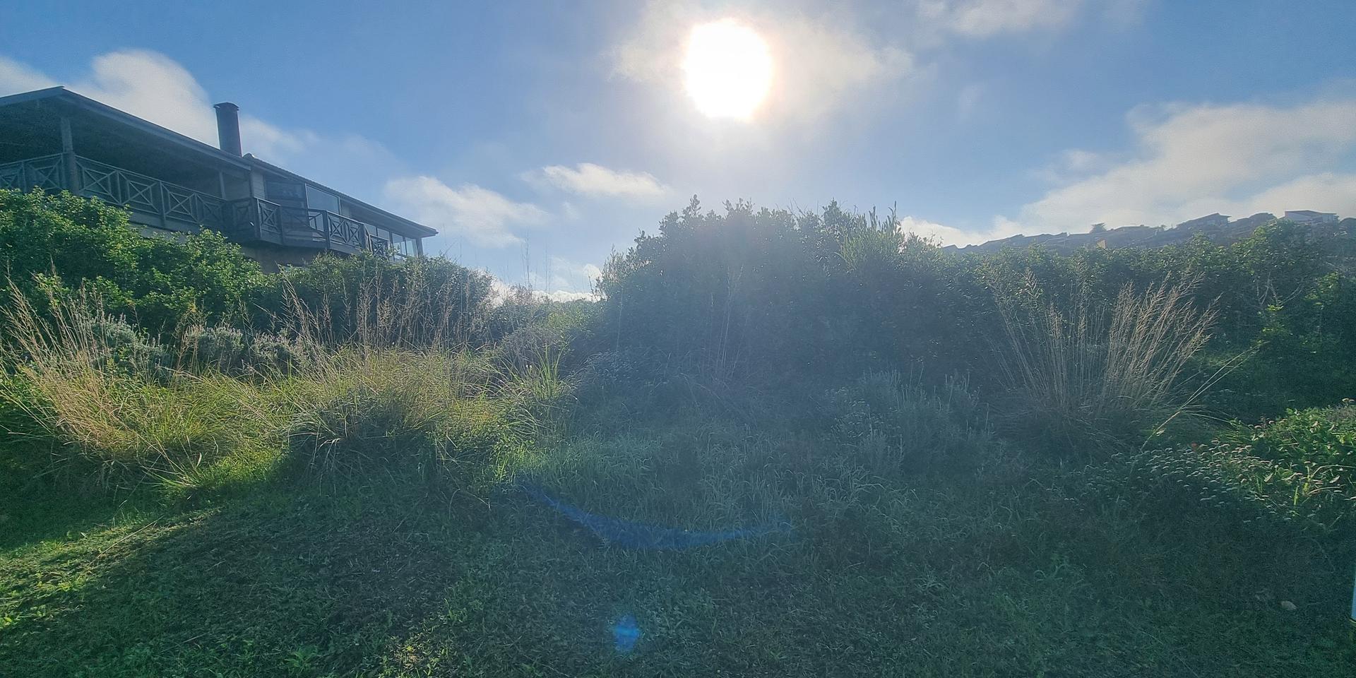 Image 3 of 6