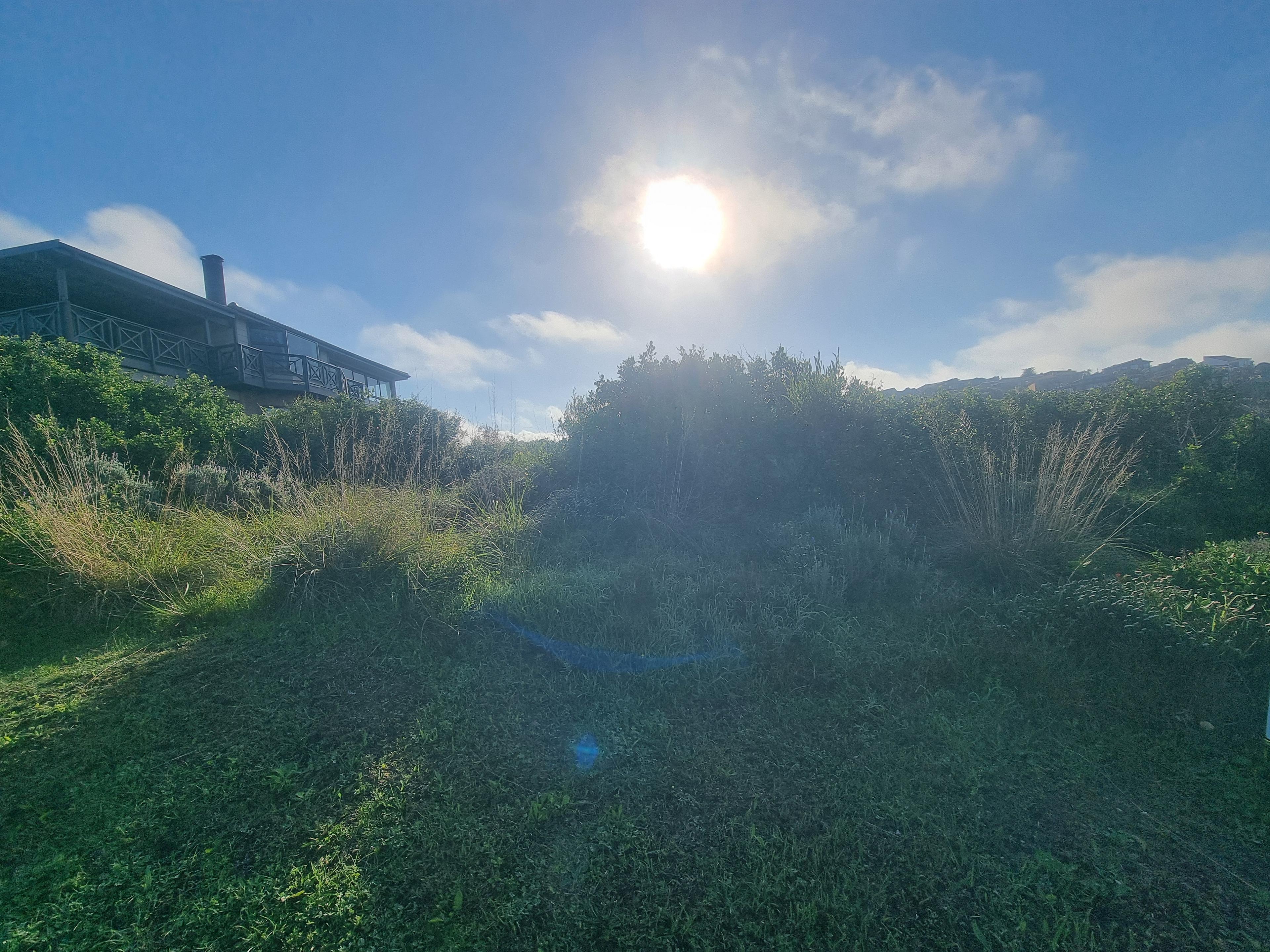 Image 3 of 6