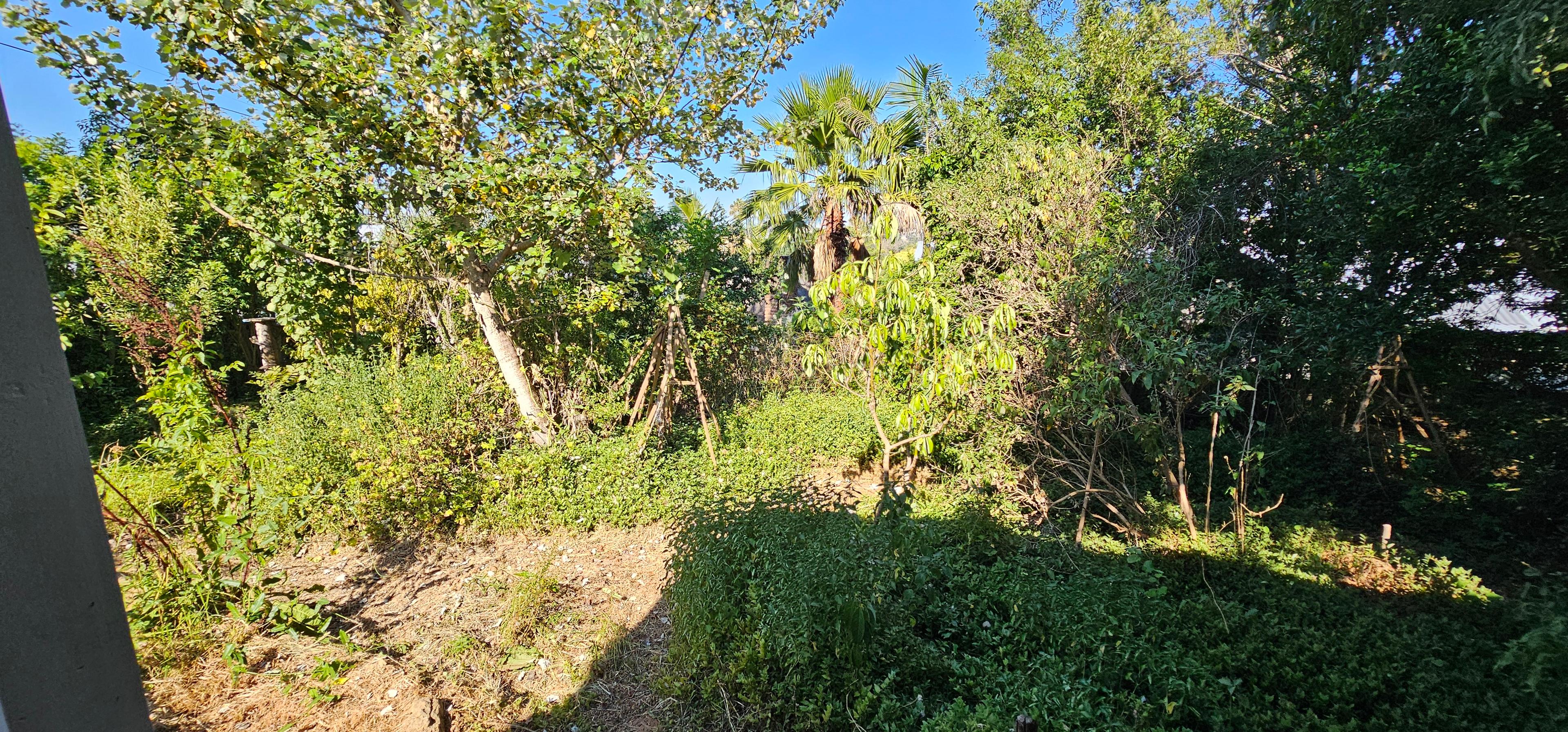 Image 29