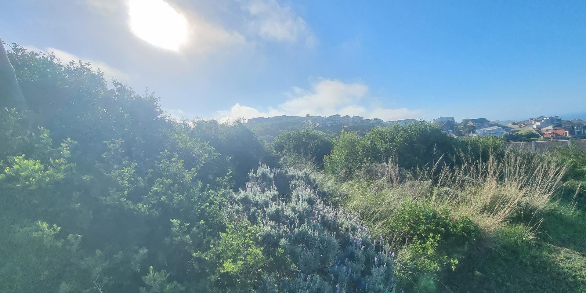 Image 4 of 6