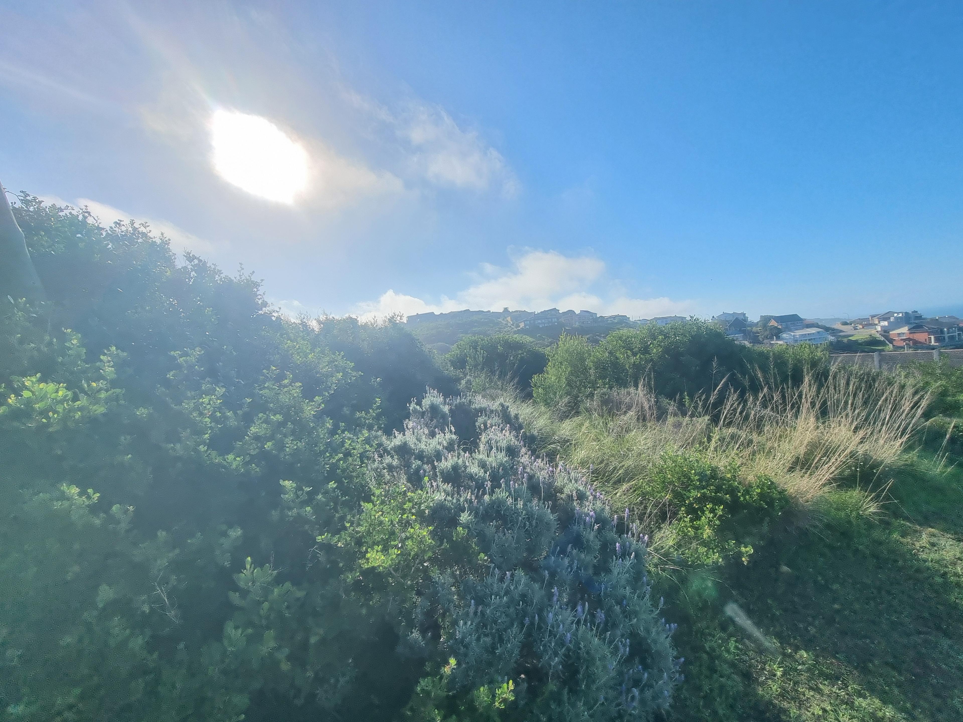 Image 4 of 6