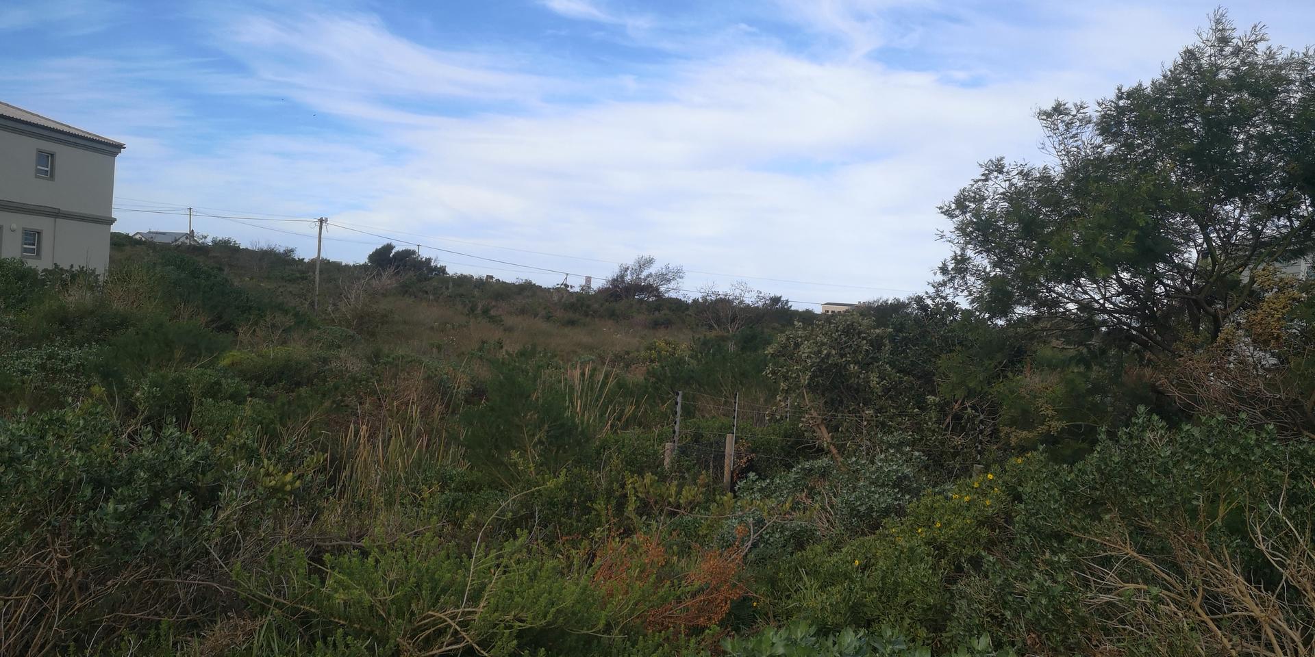 Image 4 of 6