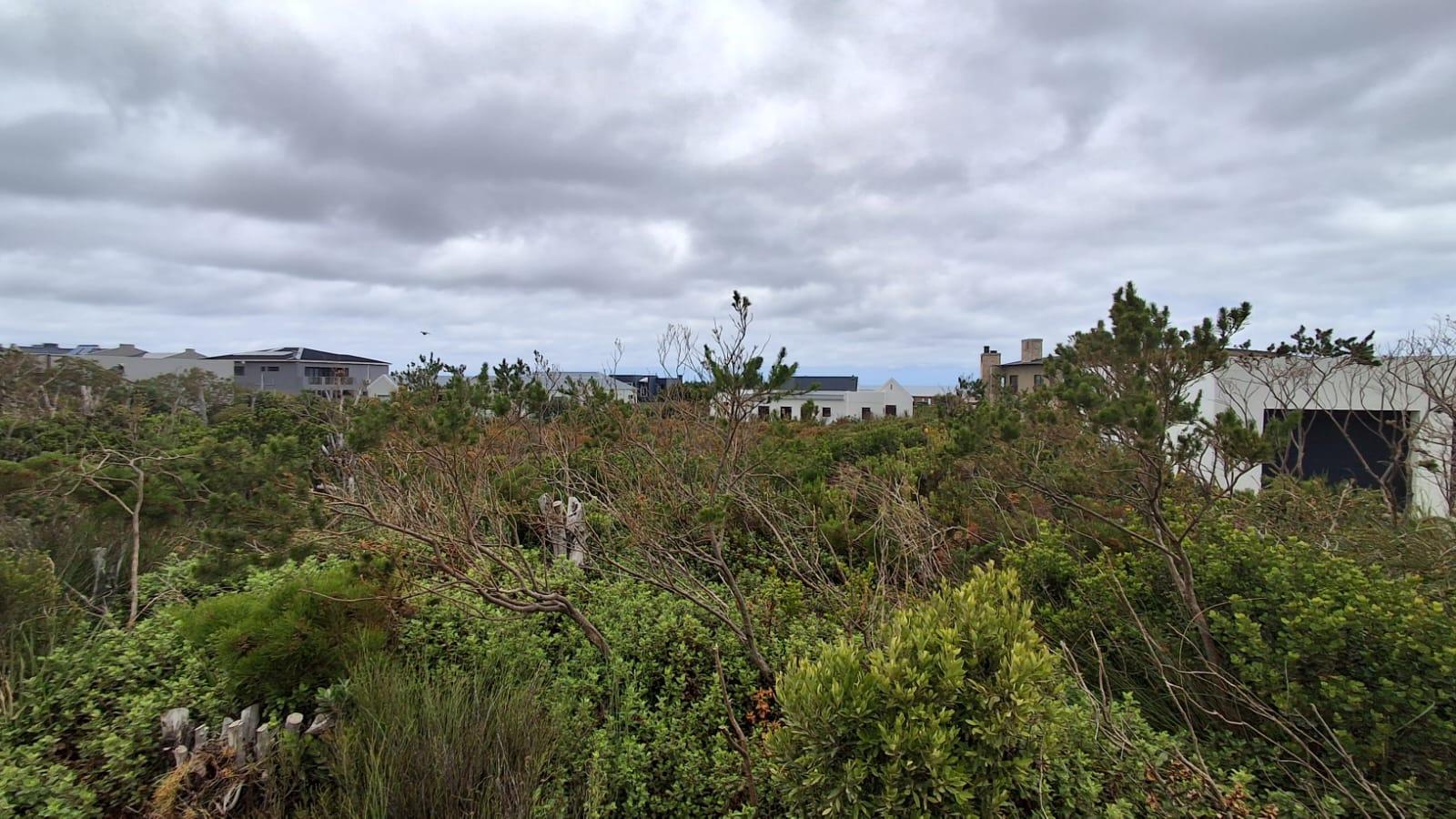 Image 5 of 6