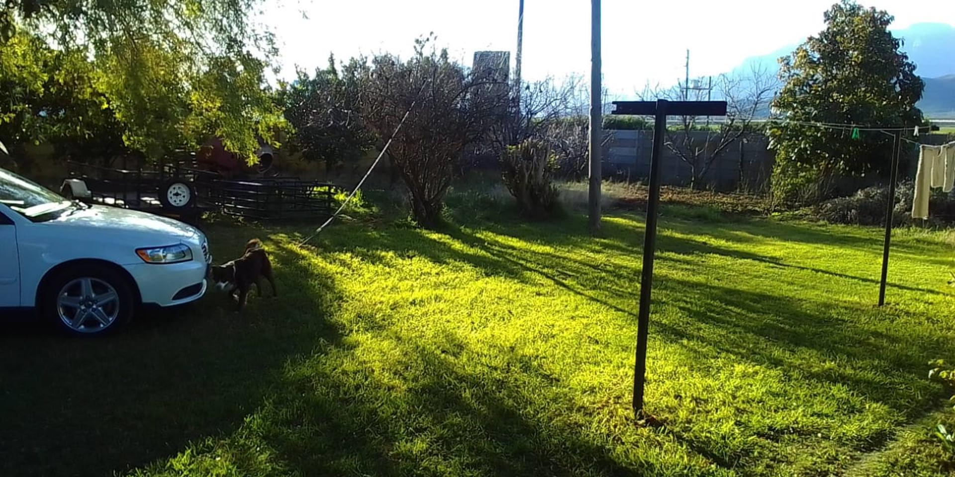 Image 4 of 6
