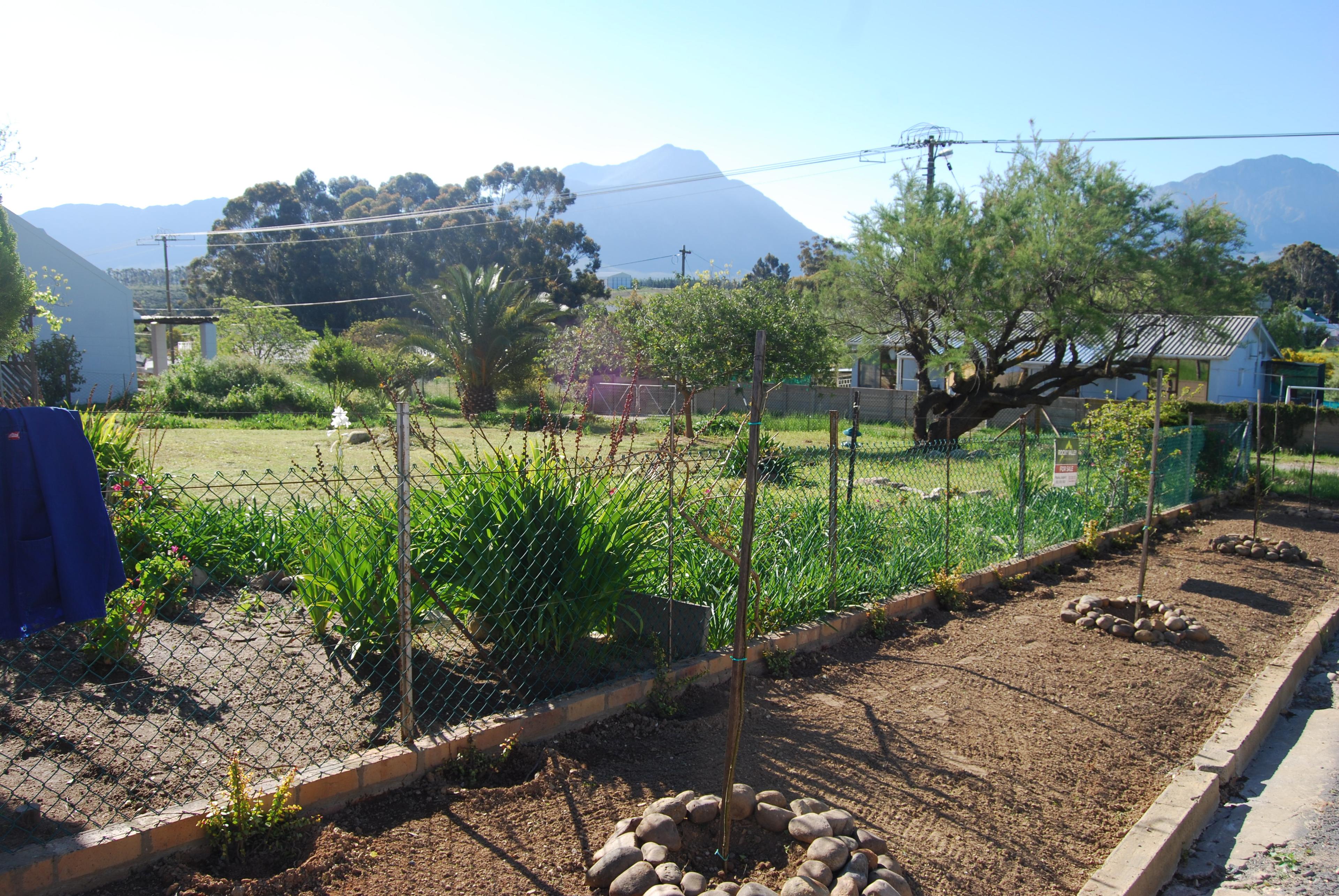 Image 4 of 6