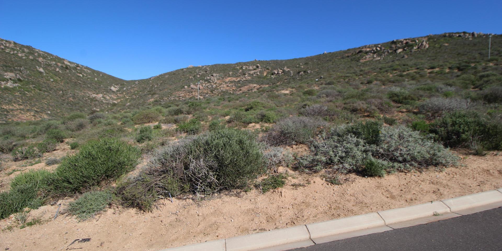 Image 2 of 6