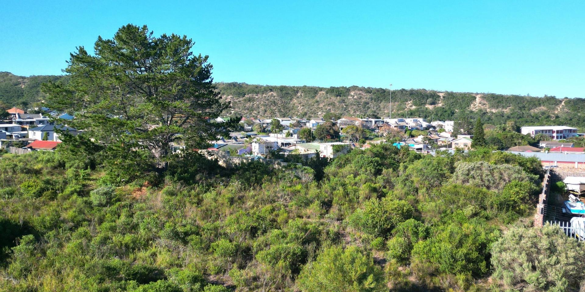 Image 4 of 6