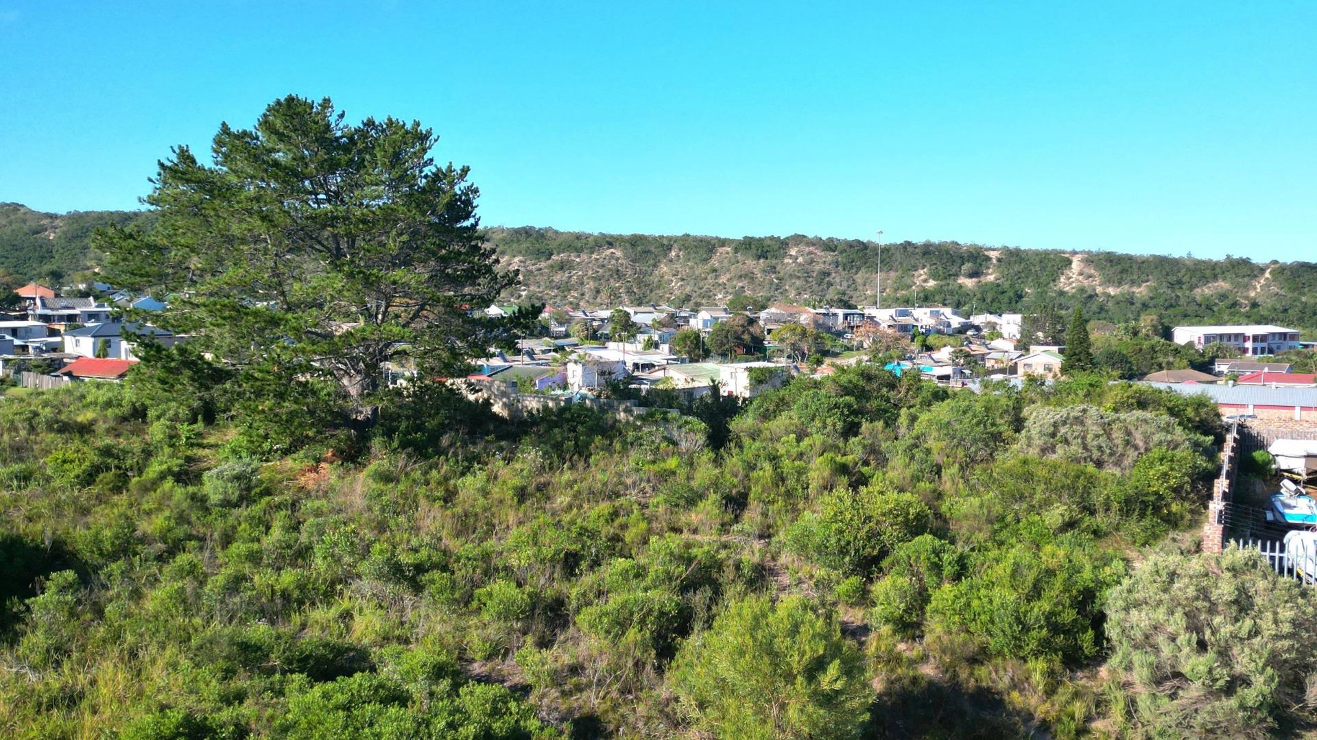 Image 4 of 6