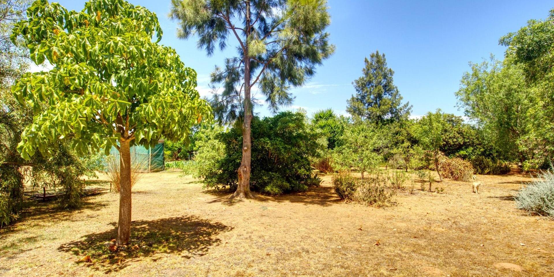 Image 4 of 6