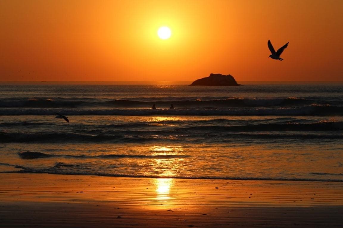 Image 32