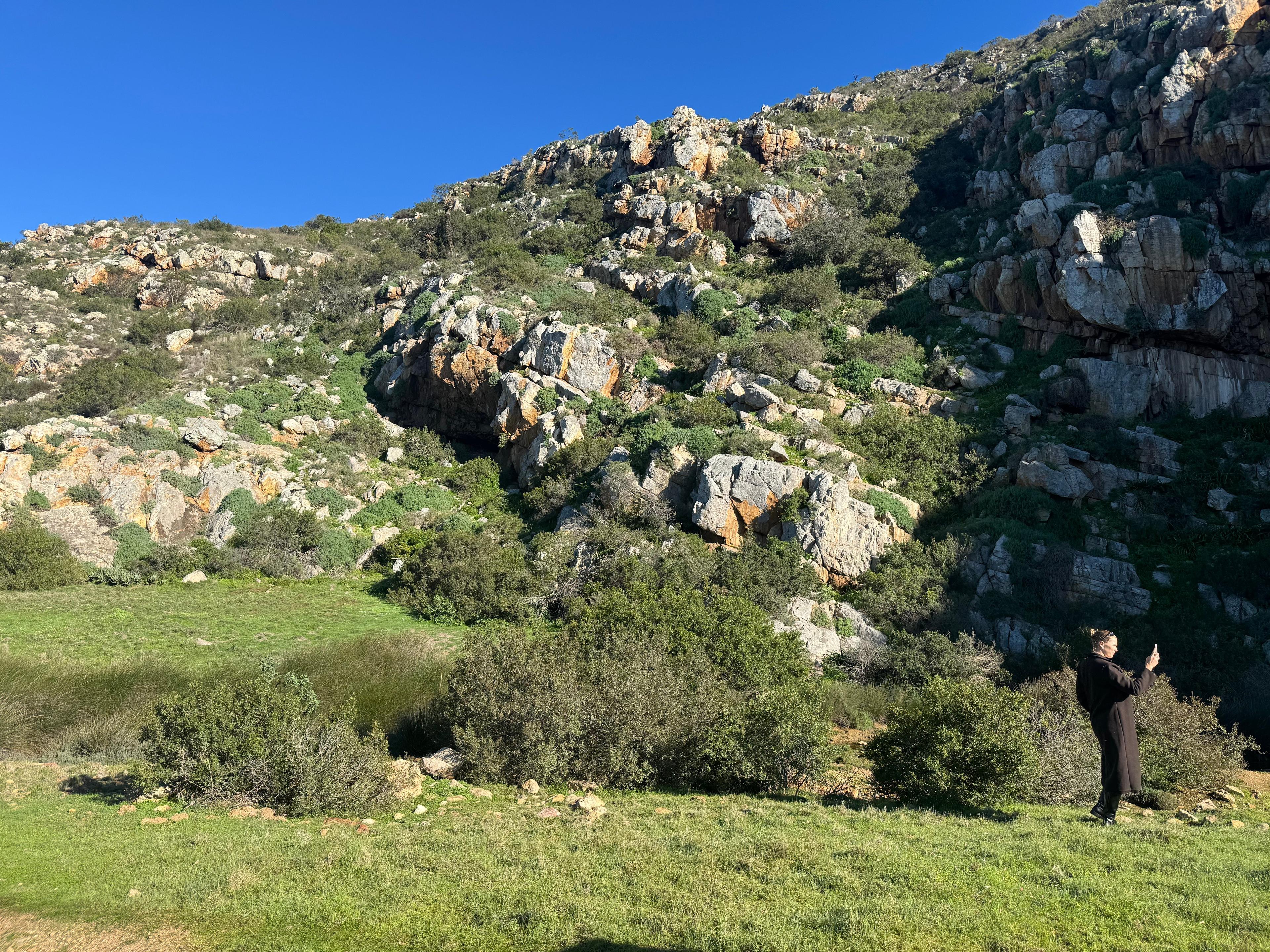 Image 31