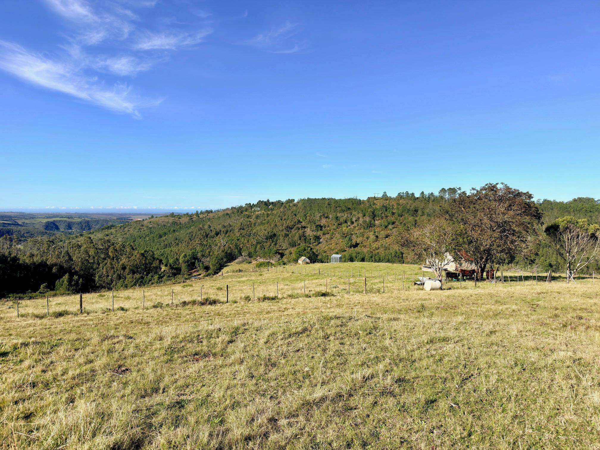 Image 3 of 6