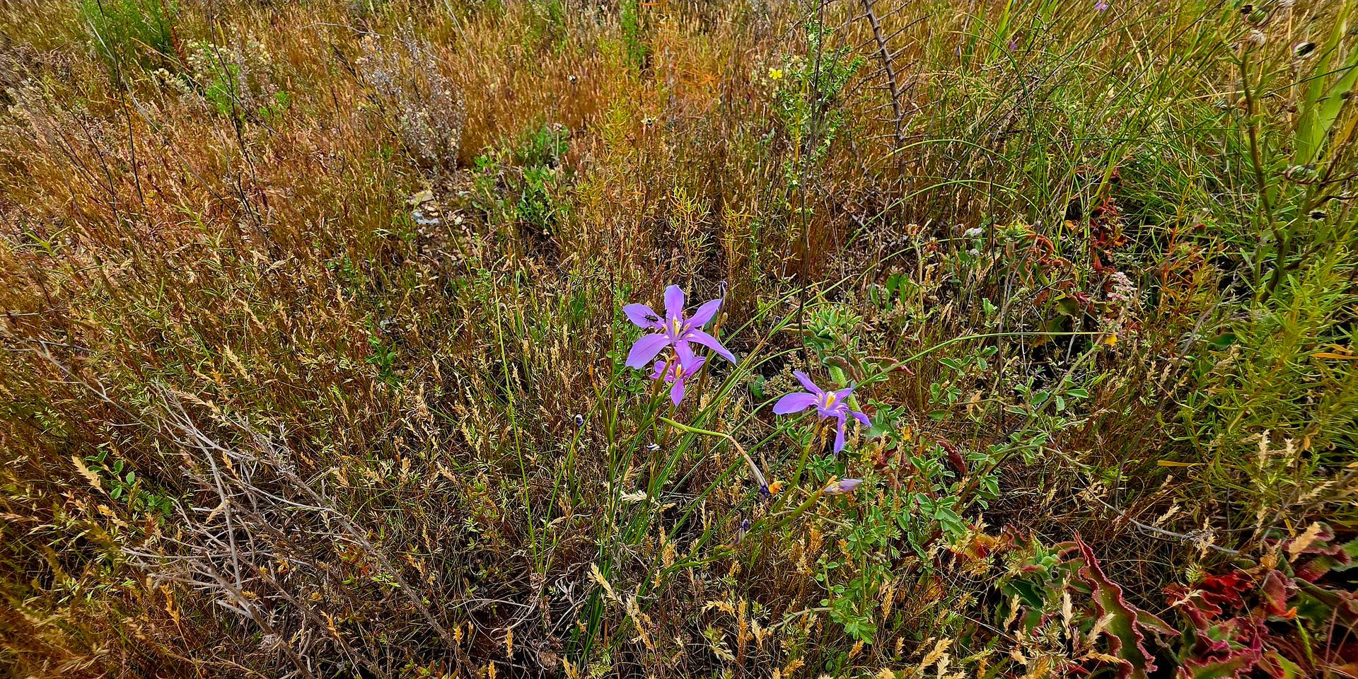 Image 3 of 6