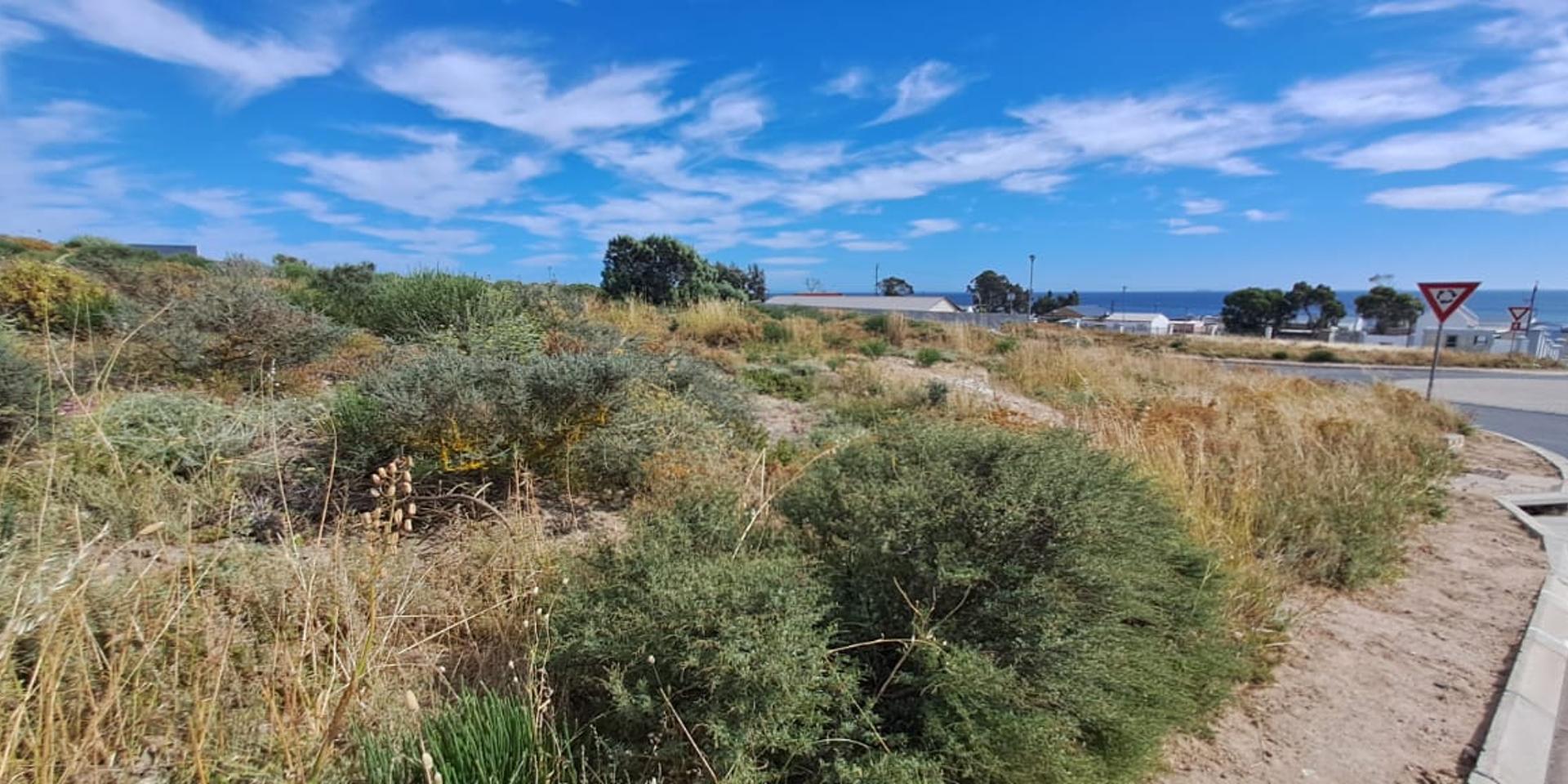 Image 4 of 6